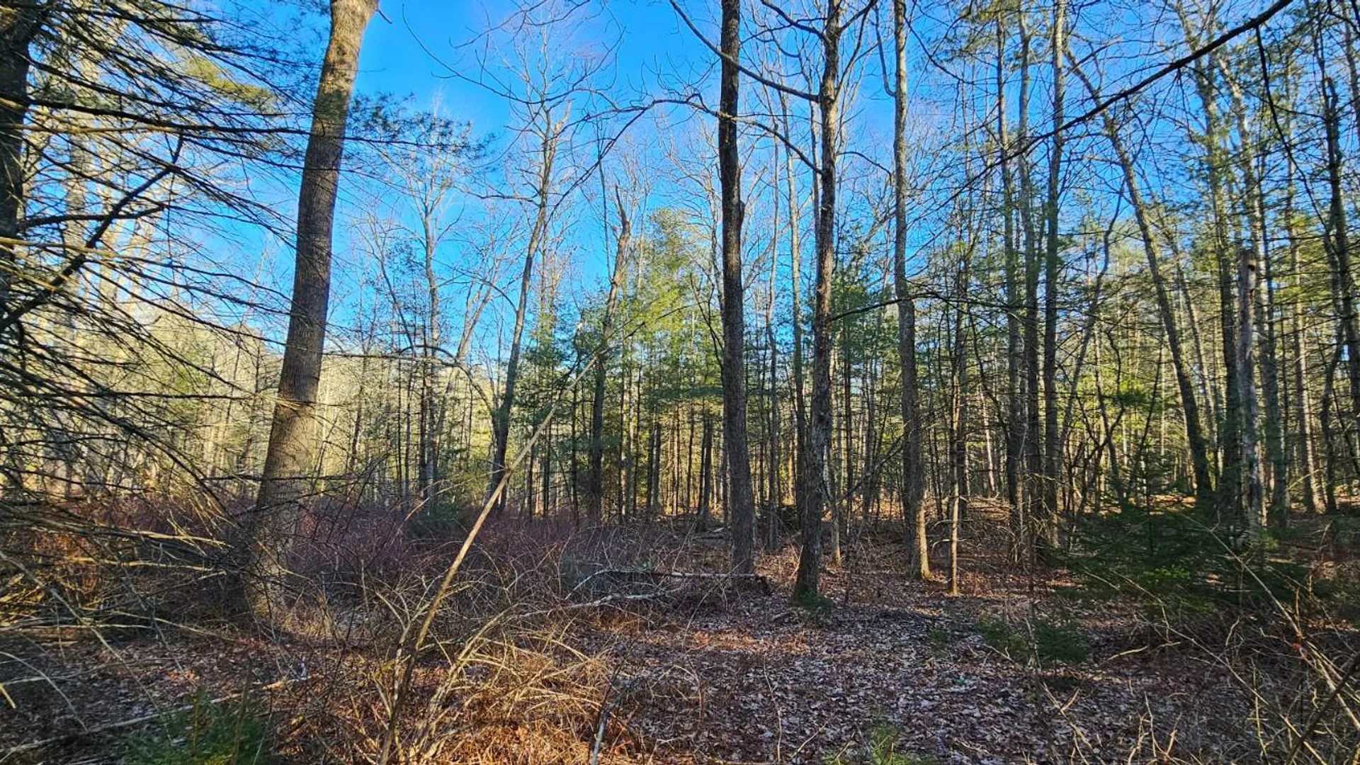 Property at Lot 57.1 Yulan-Barryville Rd, Highland, NY 12791 3