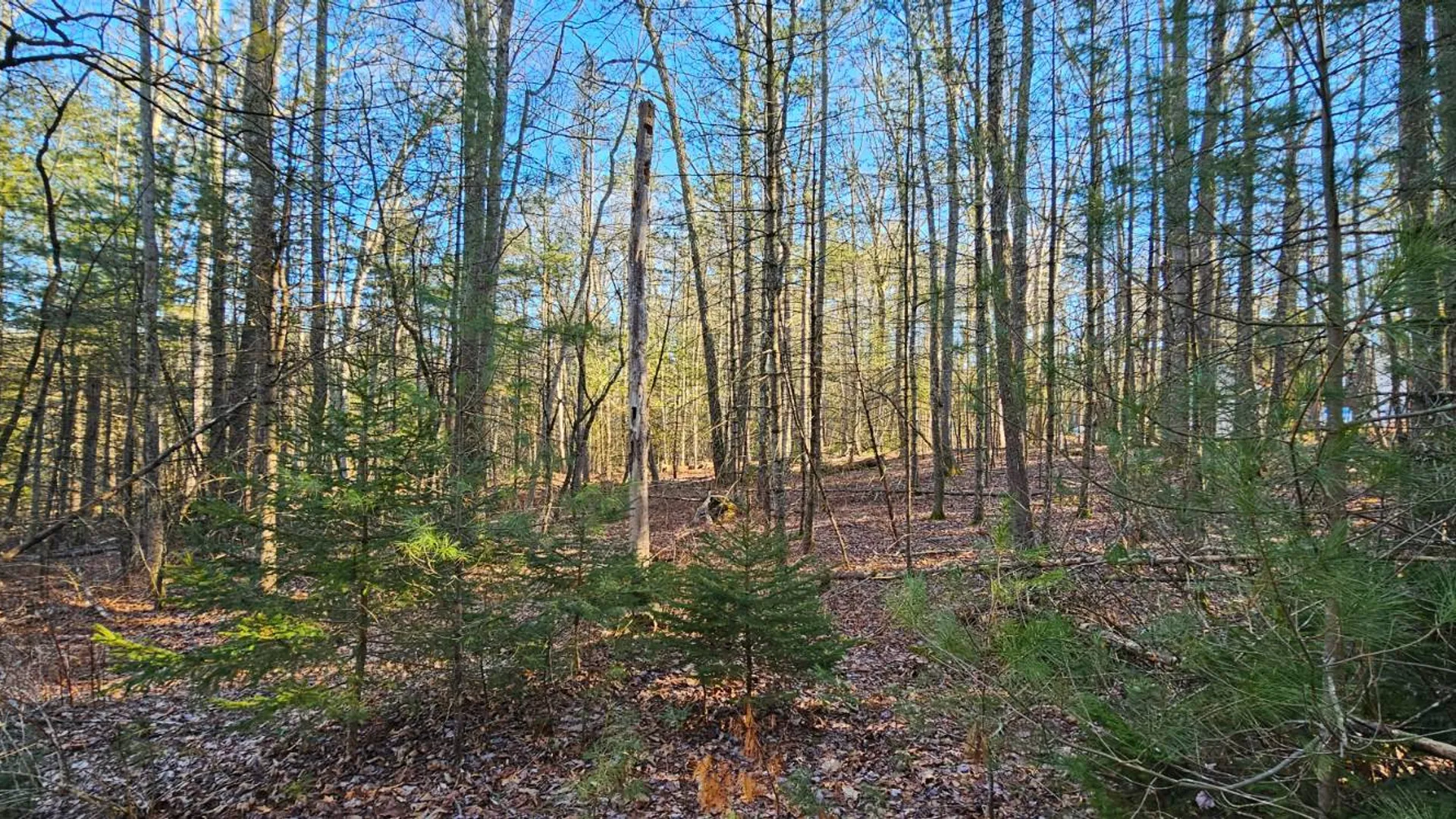 Property at Lot 57.1 Yulan-Barryville Rd, Highland, NY 12791 4