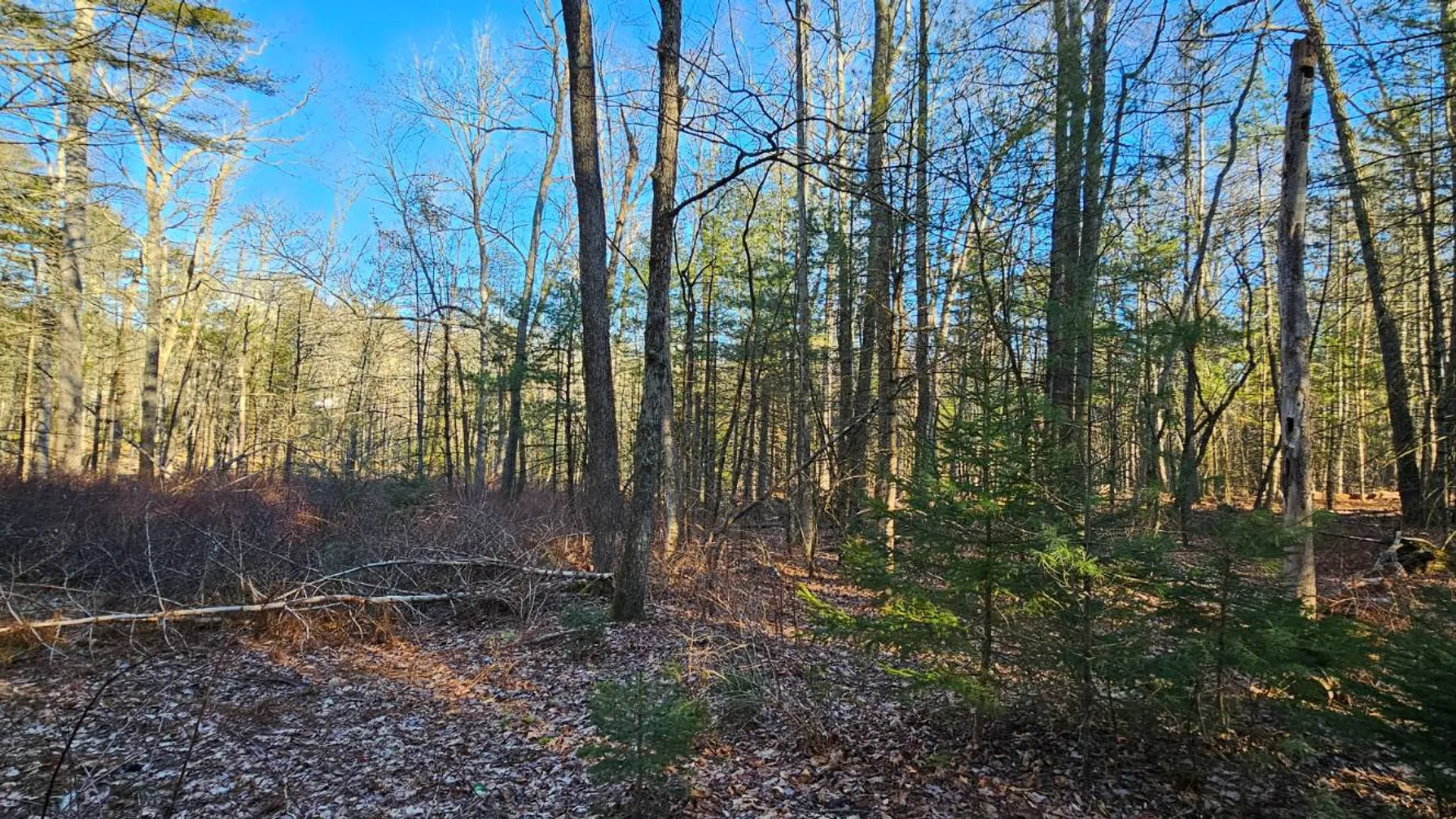 Property at Lot 57.1 Yulan-Barryville Rd, Highland, NY 12791 5