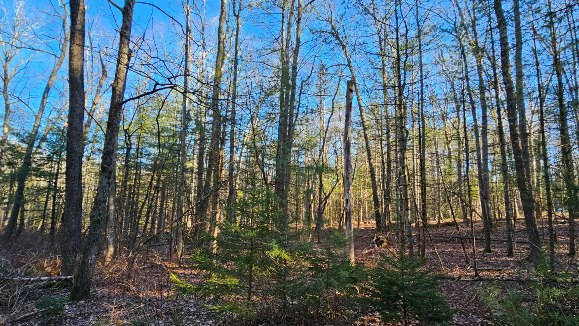 Property at Lot 57.1 Yulan-Barryville Rd, Highland, NY 12791 6