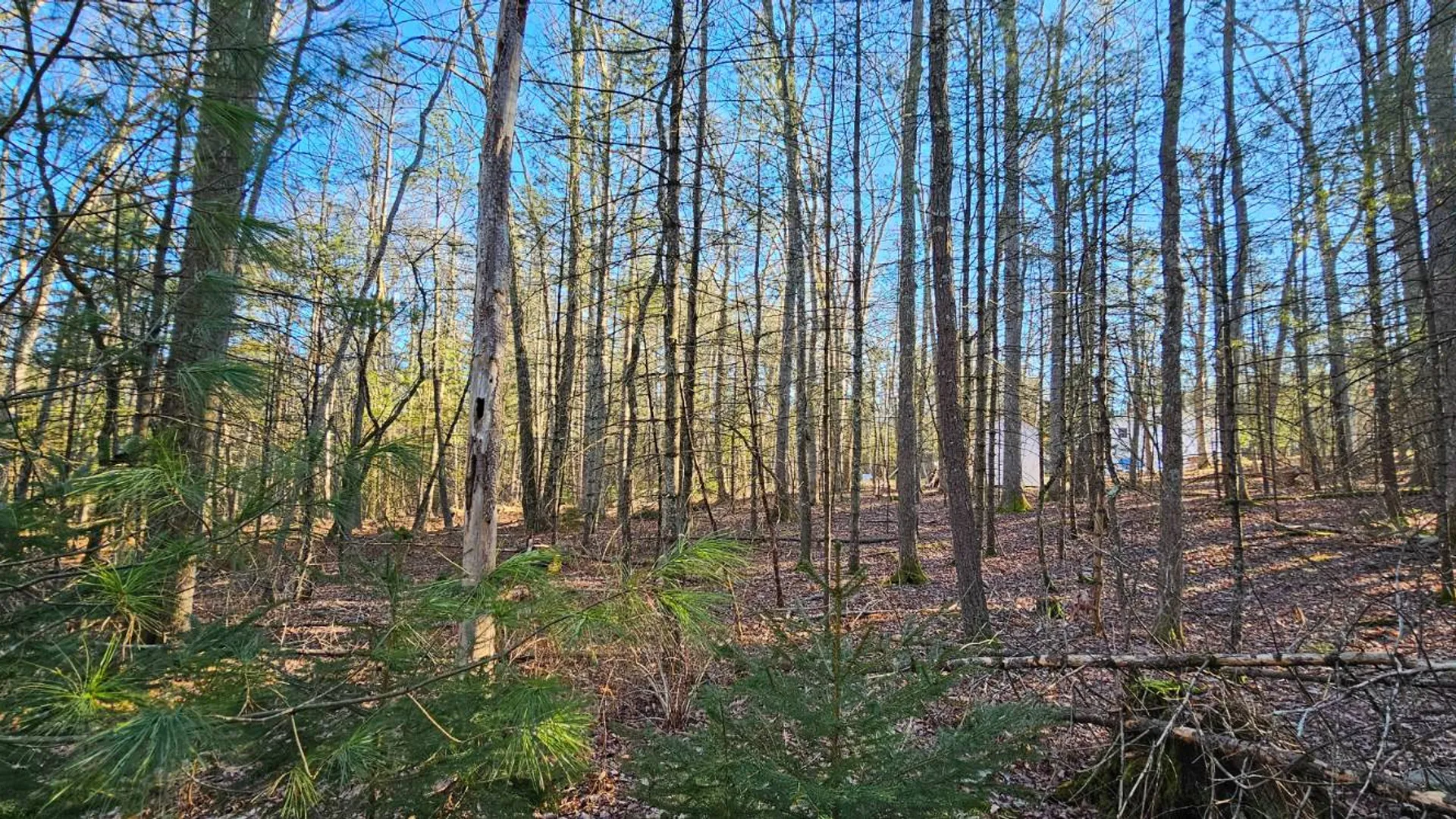 Property at Lot 57.1 Yulan-Barryville Rd, Highland, NY 12791 7