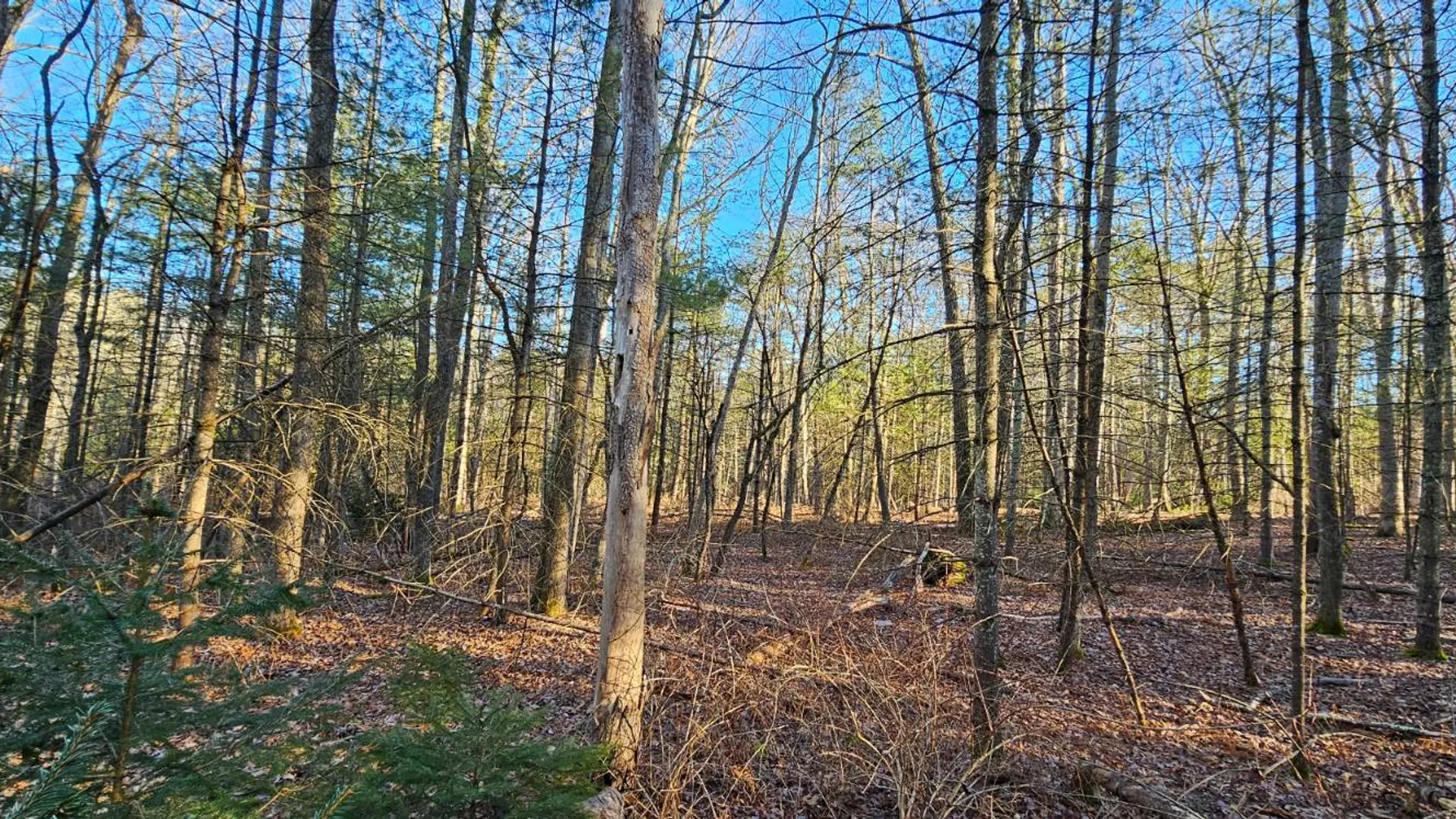 Property at Lot 57.1 Yulan-Barryville Rd, Highland, NY 12791 8