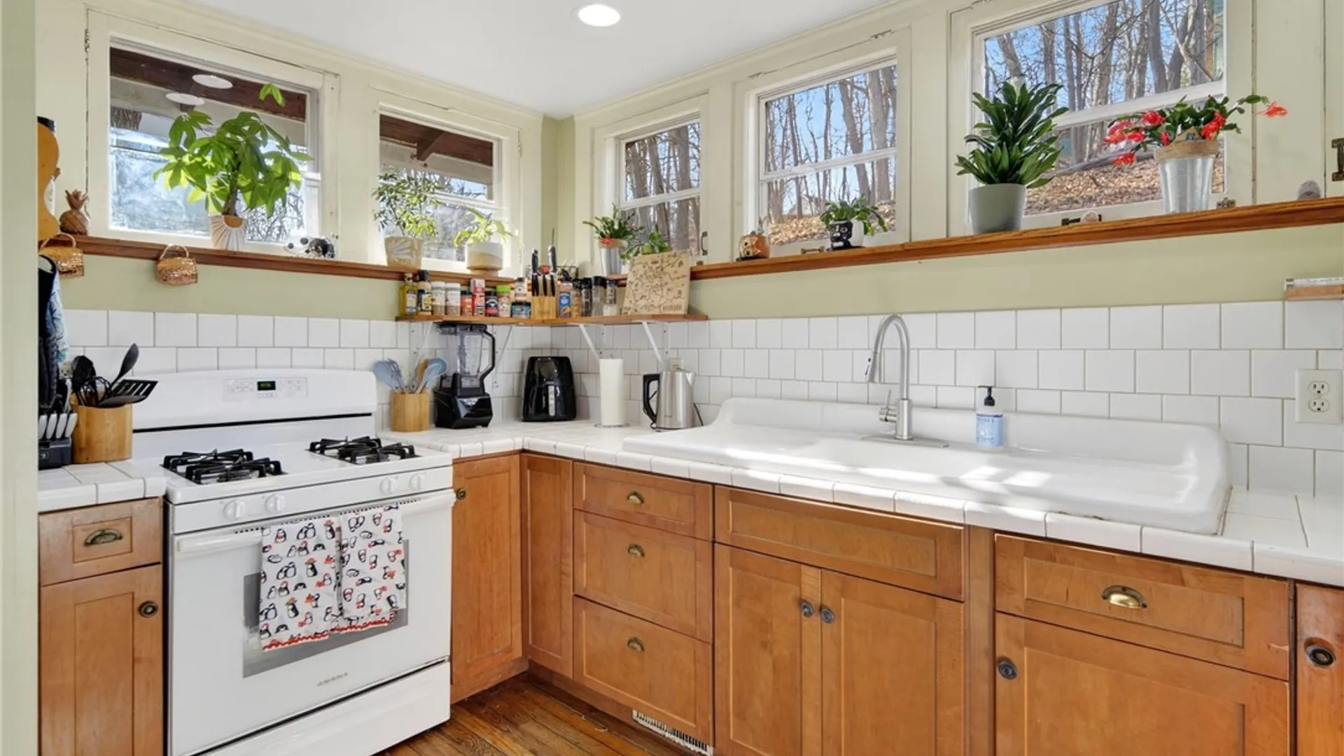 Property at 718 Cliff Street, Ithaca City, NY 14850 19