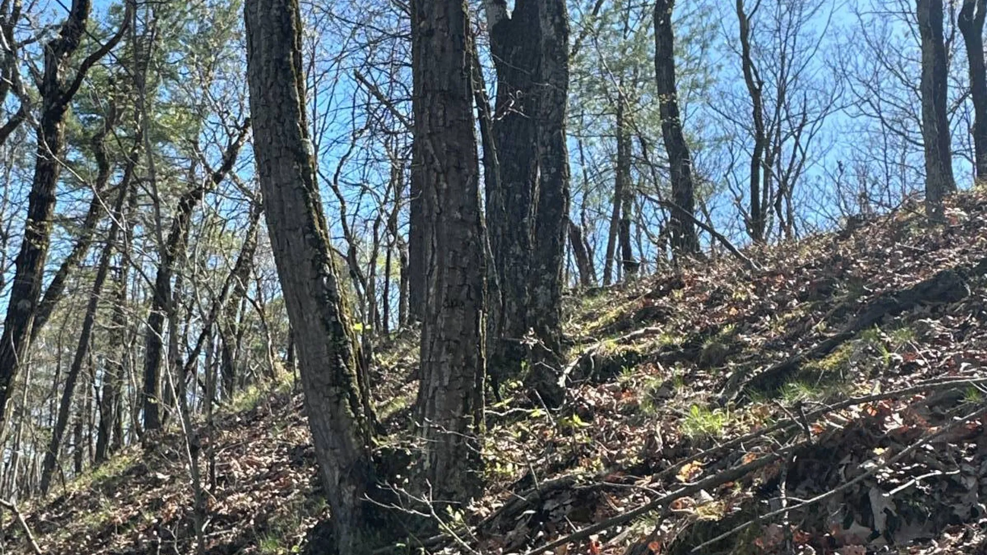 Property at 001WP Reservoir Rd, West Coxsackie, NY 12192 8
