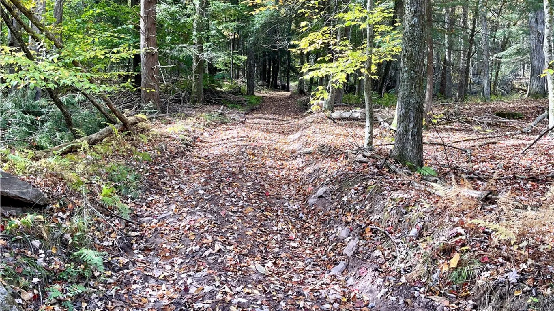 Property at County Highway 3, Butternuts, NY 13843 10