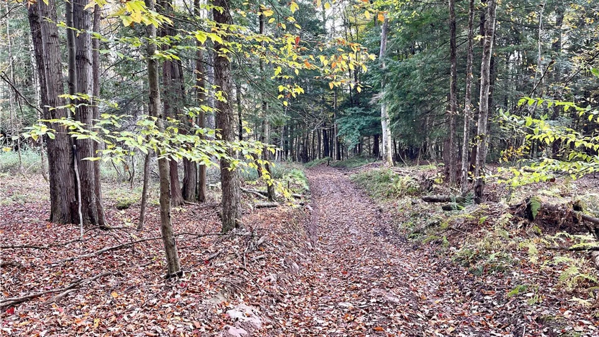 Property at County Highway 3, Butternuts, NY 13843 11