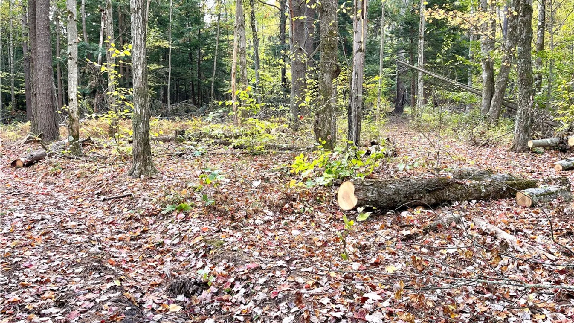 Property at County Highway 3, Butternuts, NY 13843 13