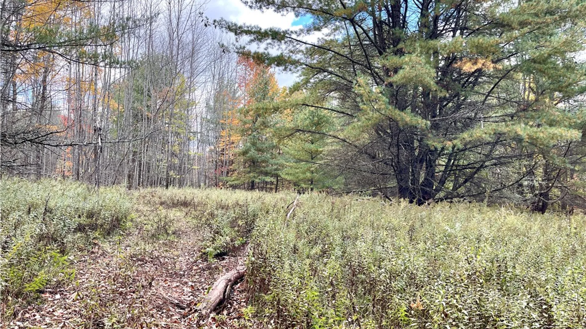 Property at County Highway 3, Butternuts, NY 13843 14