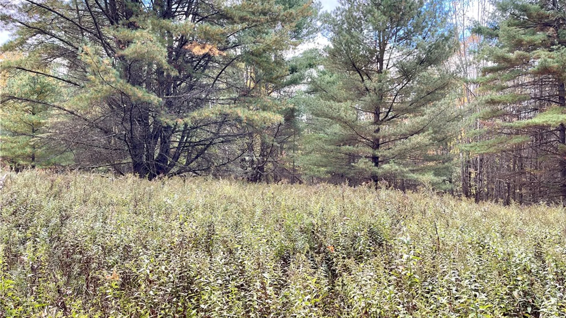 Property at County Highway 3, Butternuts, NY 13843 15