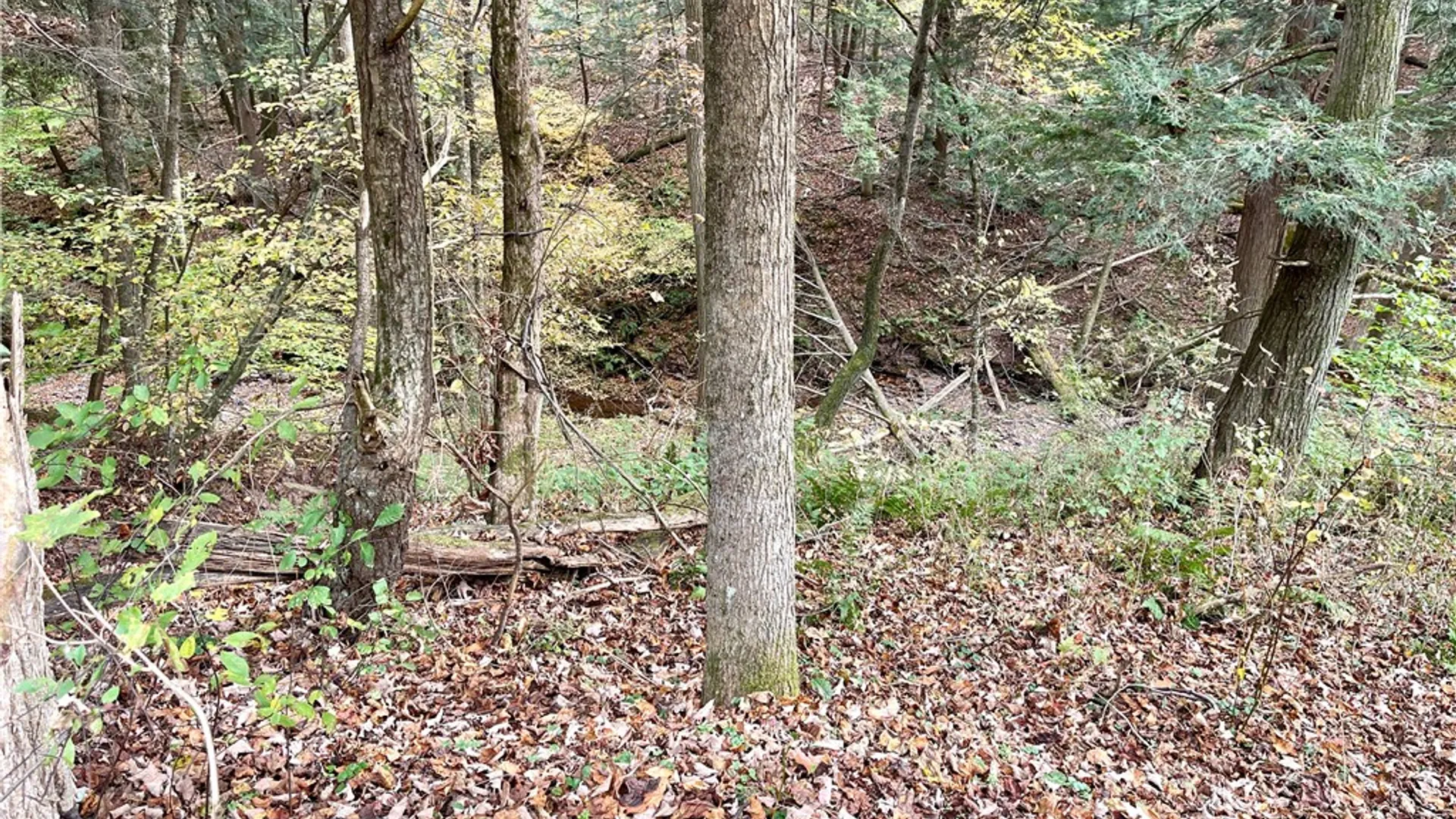 Property at County Highway 3, Butternuts, NY 13843 16
