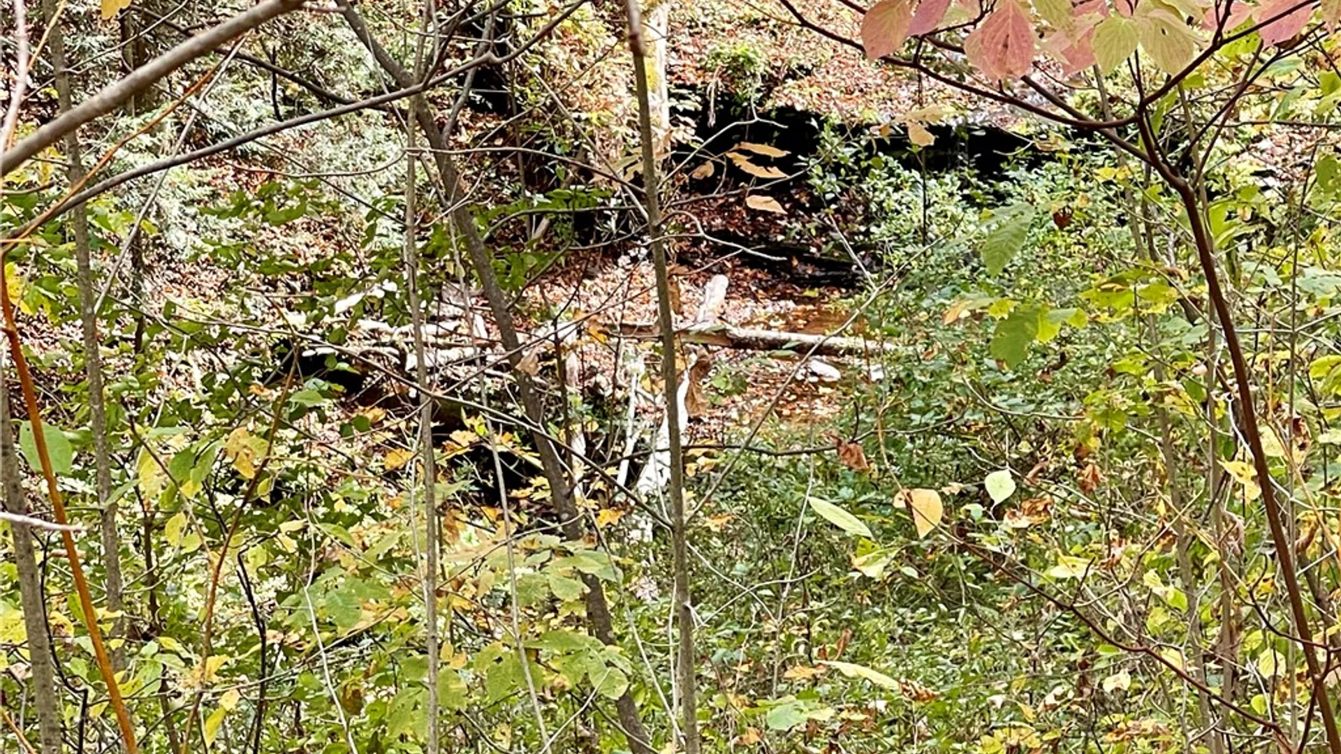 Property at County Highway 3, Butternuts, NY 13843 17