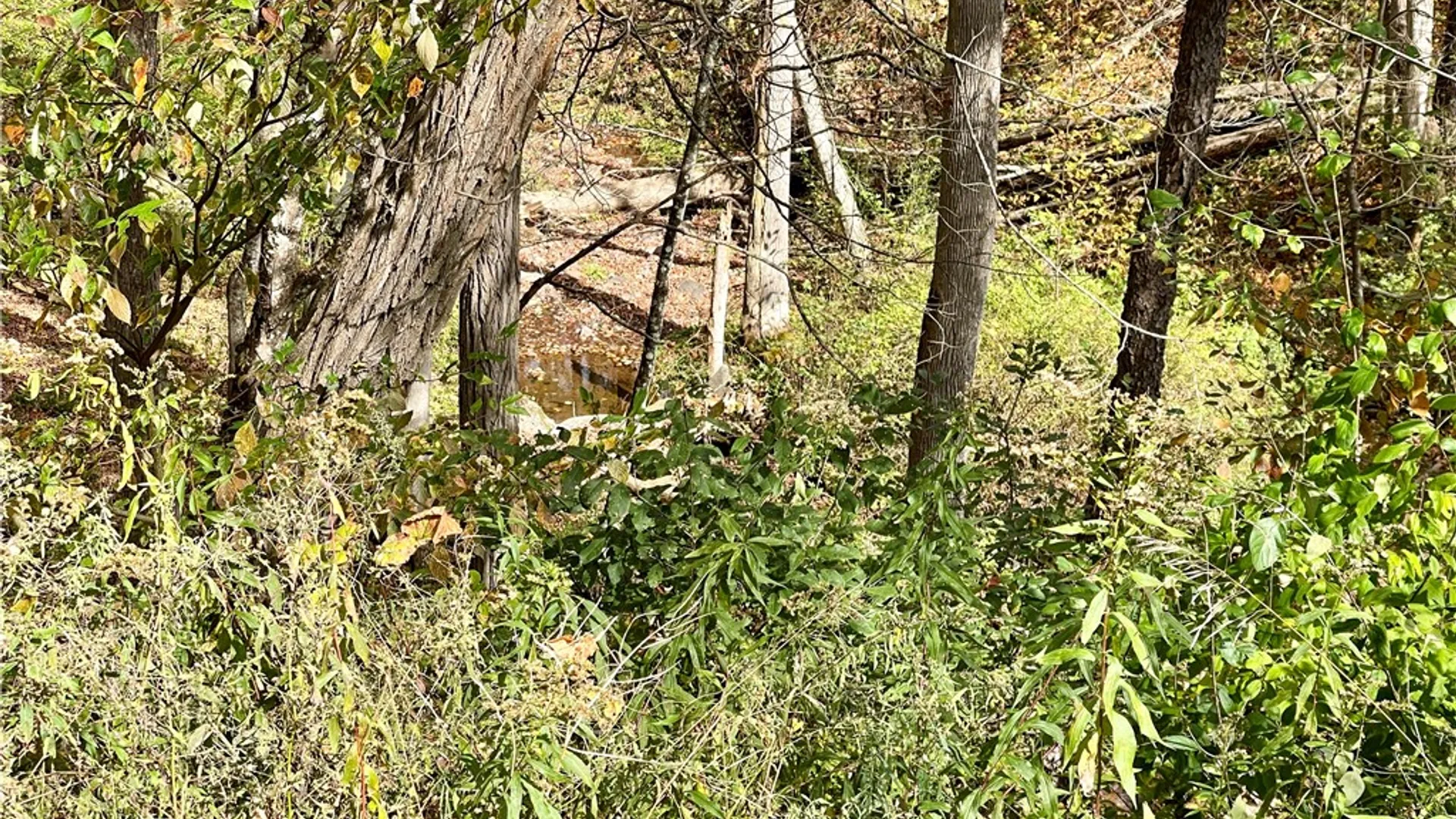 Property at County Highway 3, Butternuts, NY 13843 18