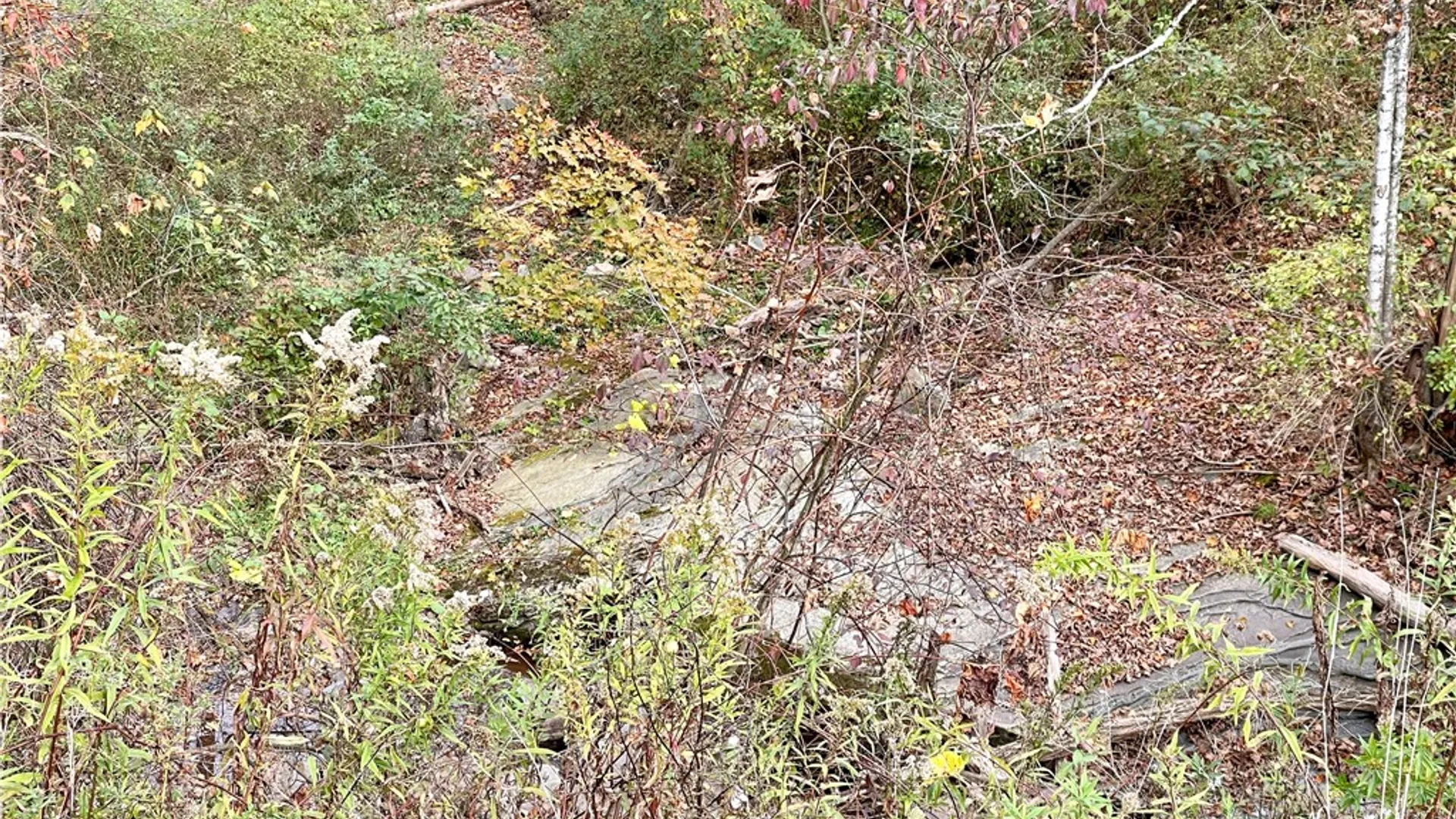 Property at County Highway 3, Butternuts, NY 13843 19