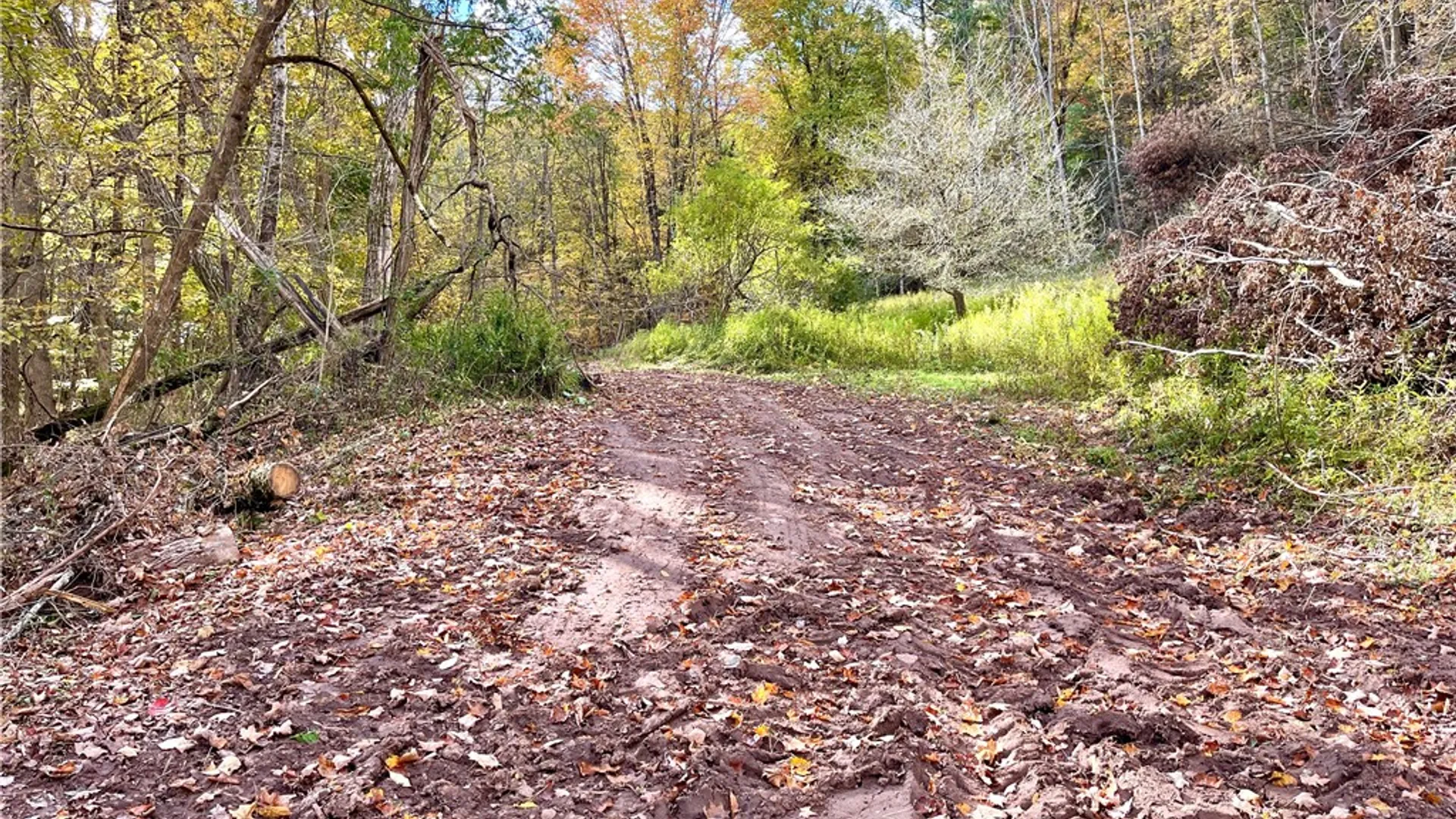 Property at County Highway 3, Butternuts, NY 13843 5