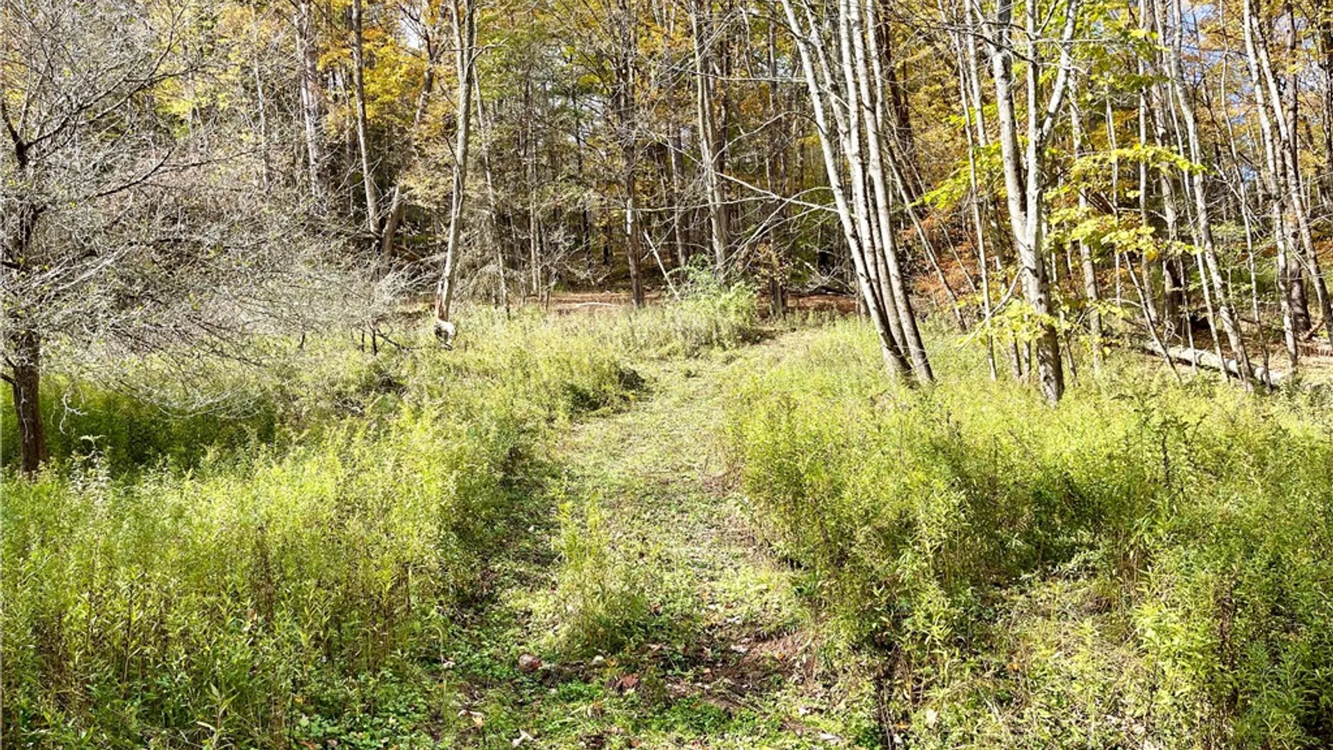 Property at County Highway 3, Butternuts, NY 13843 6