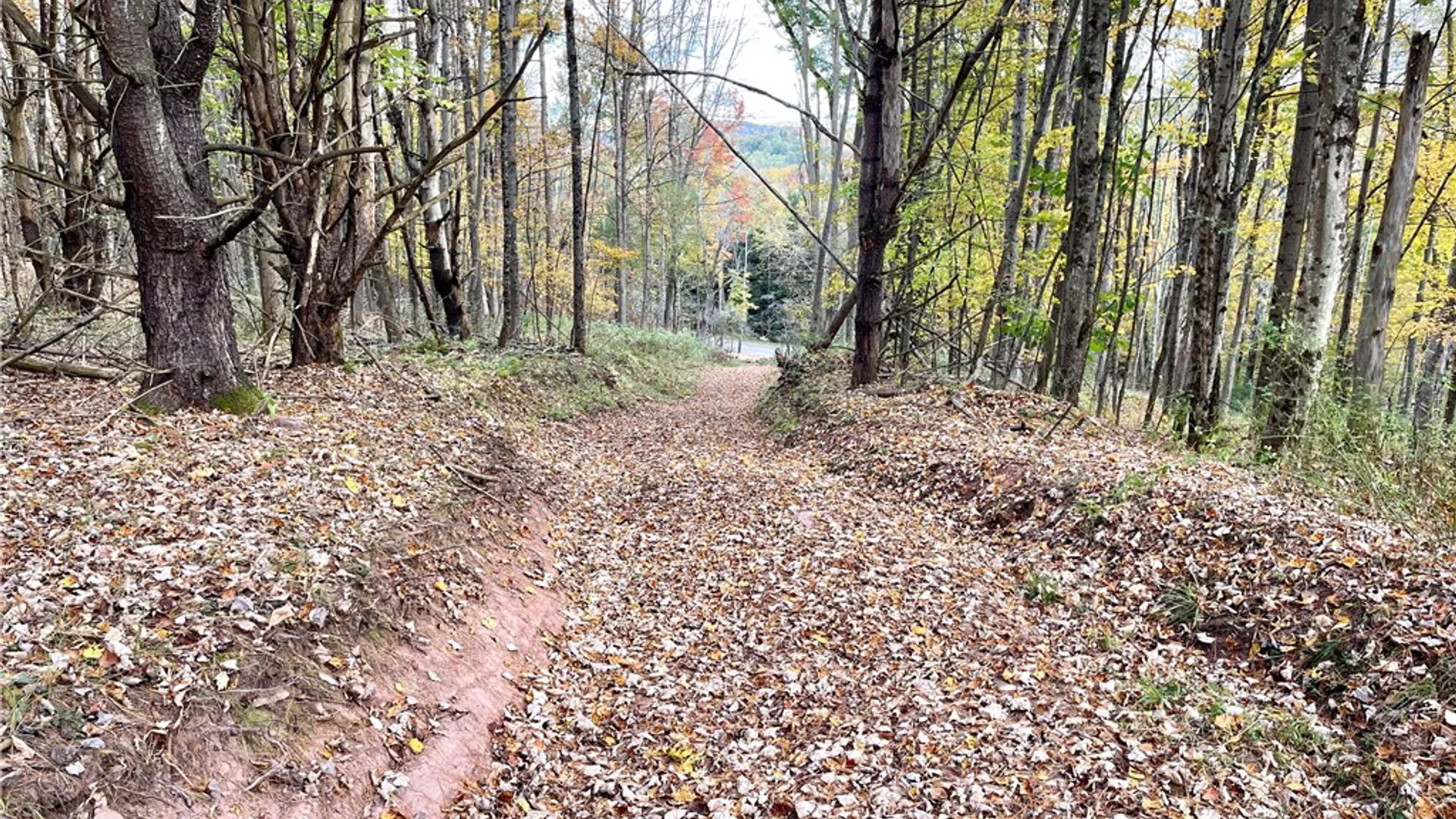 Property at County Highway 3, Butternuts, NY 13843 7