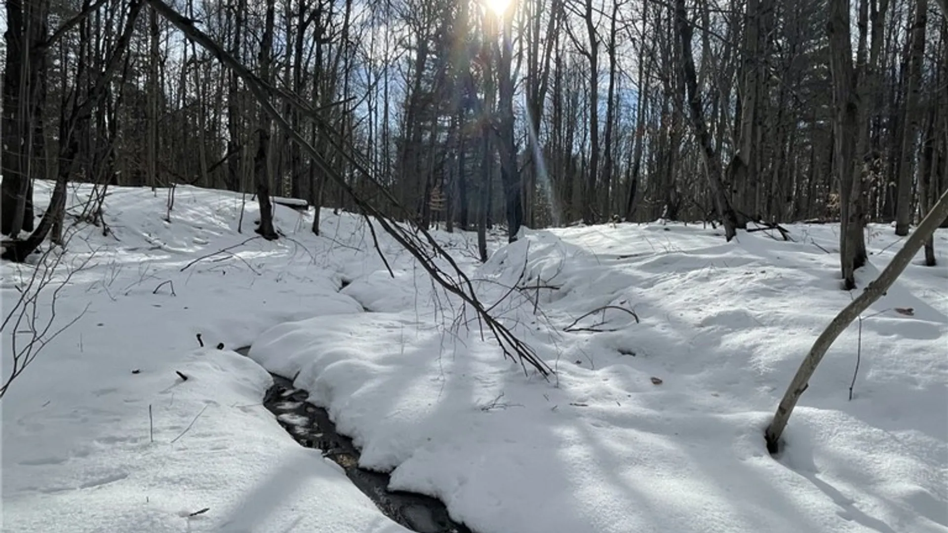 Property at 36562 County Route 46, Theresa, NY 13691 10