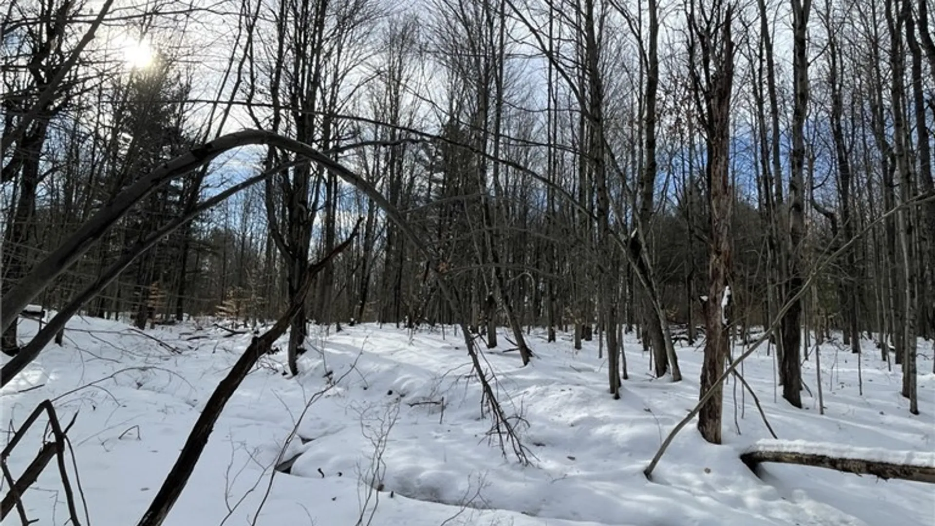 Property at 36562 County Route 46, Theresa, NY 13691 12