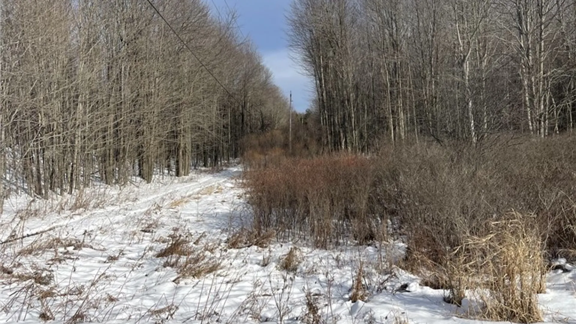 Property at 36562 County Route 46, Theresa, NY 13691 13