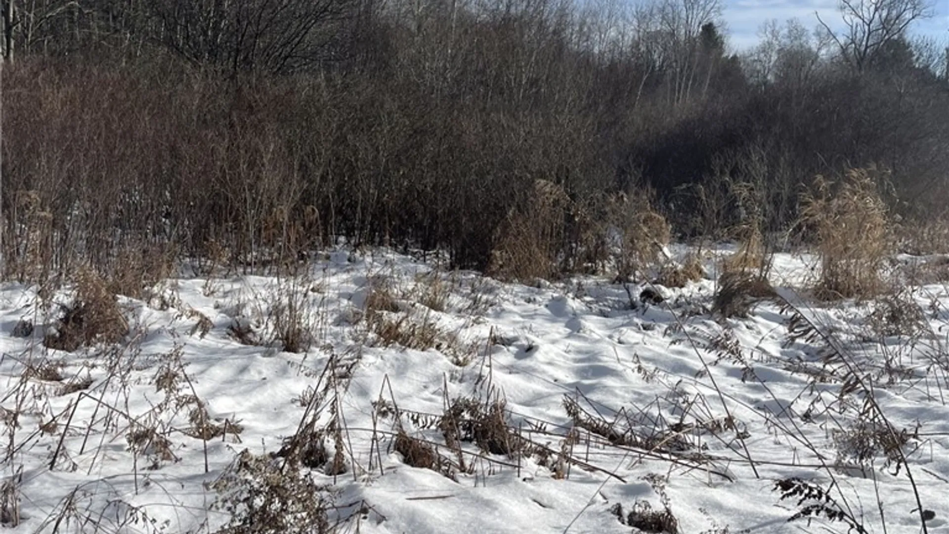 Property at 36562 County Route 46, Theresa, NY 13691 14