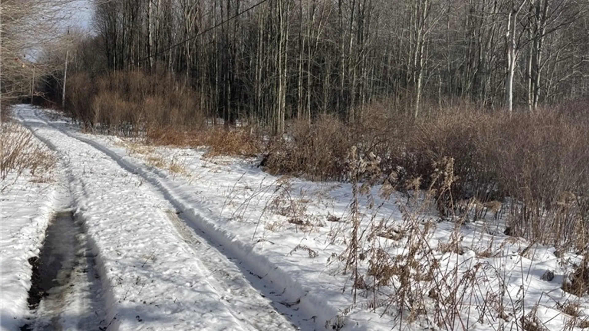 Property at 36562 County Route 46, Theresa, NY 13691 15