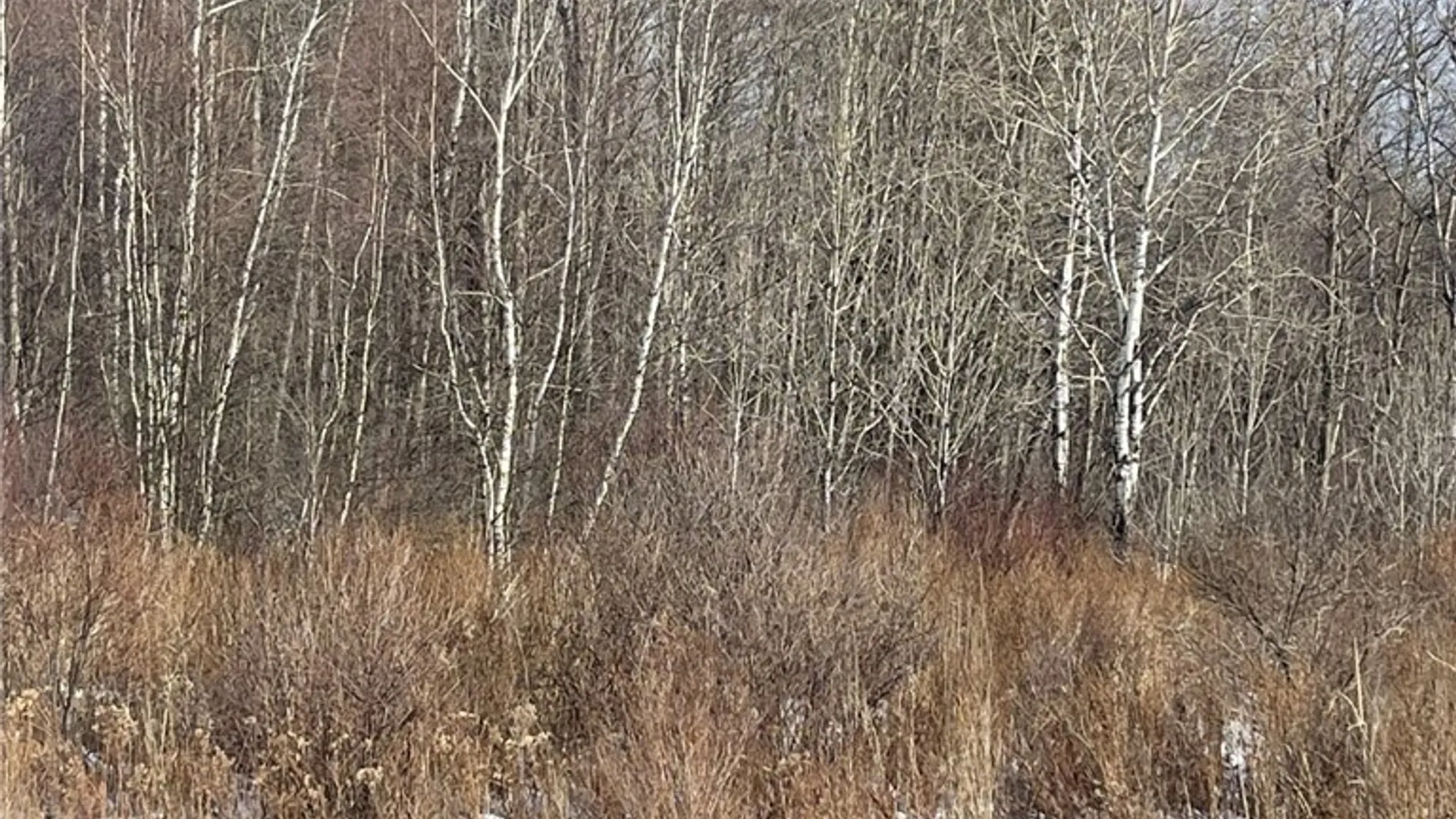 Property at 36562 County Route 46, Theresa, NY 13691 2