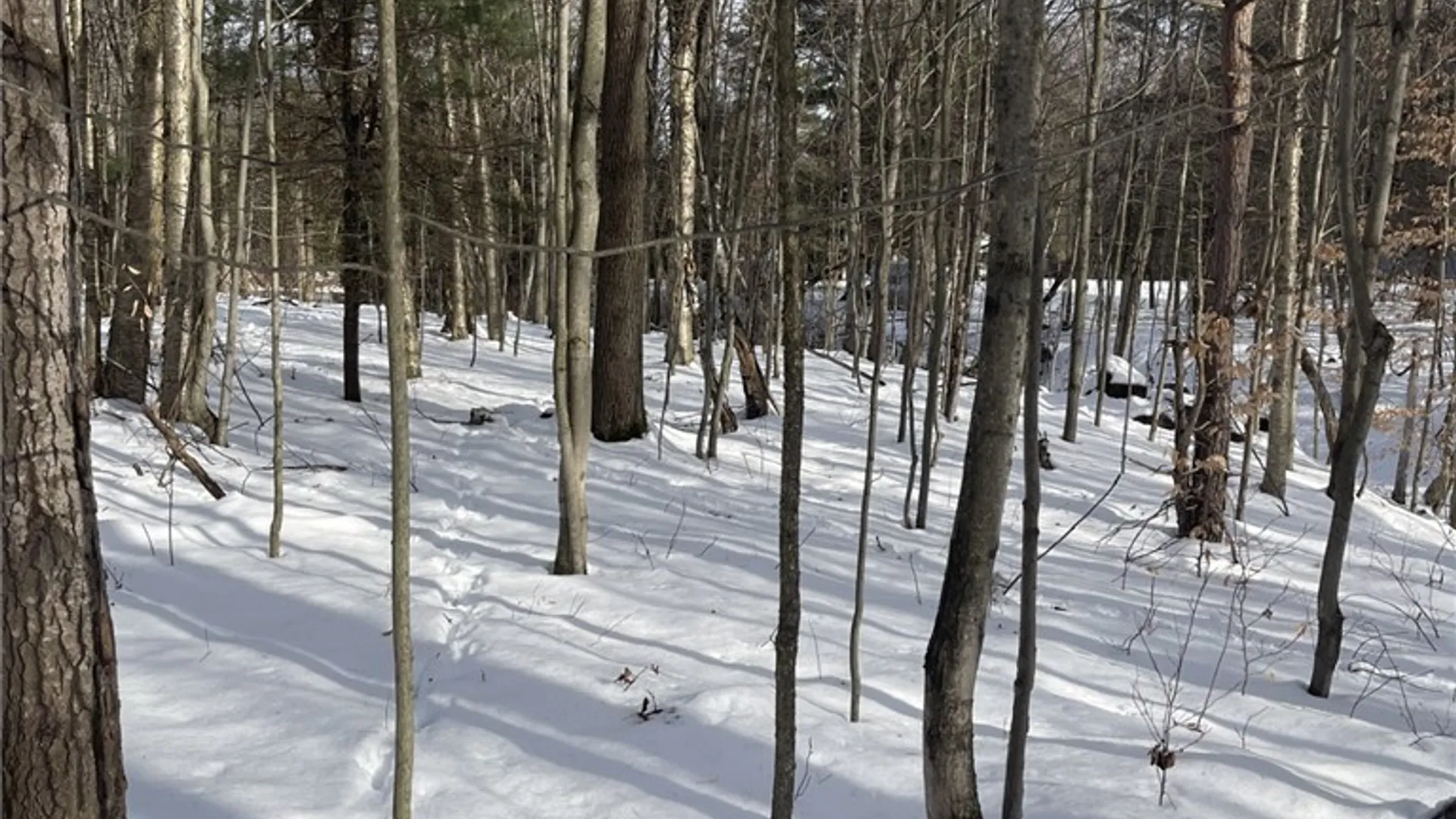 Property at 36562 County Route 46, Theresa, NY 13691 6