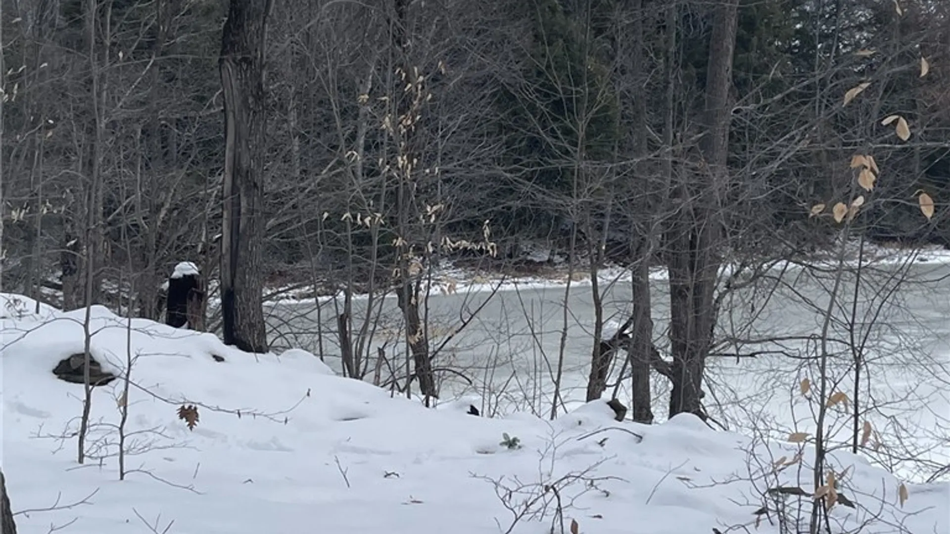 Property at 36562 County Route 46, Theresa, NY 13691 7