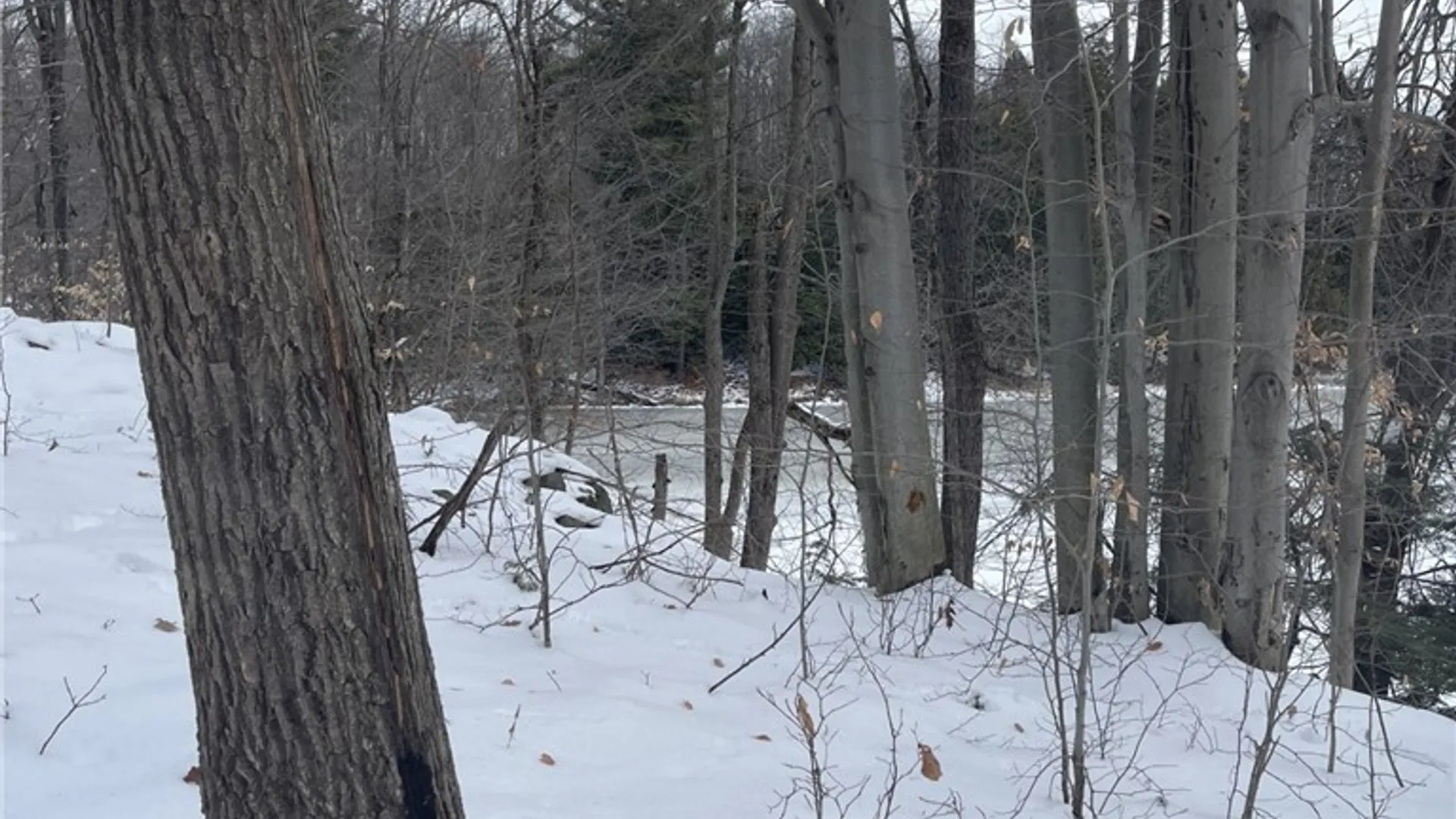 Property at 36562 County Route 46, Theresa, NY 13691 8