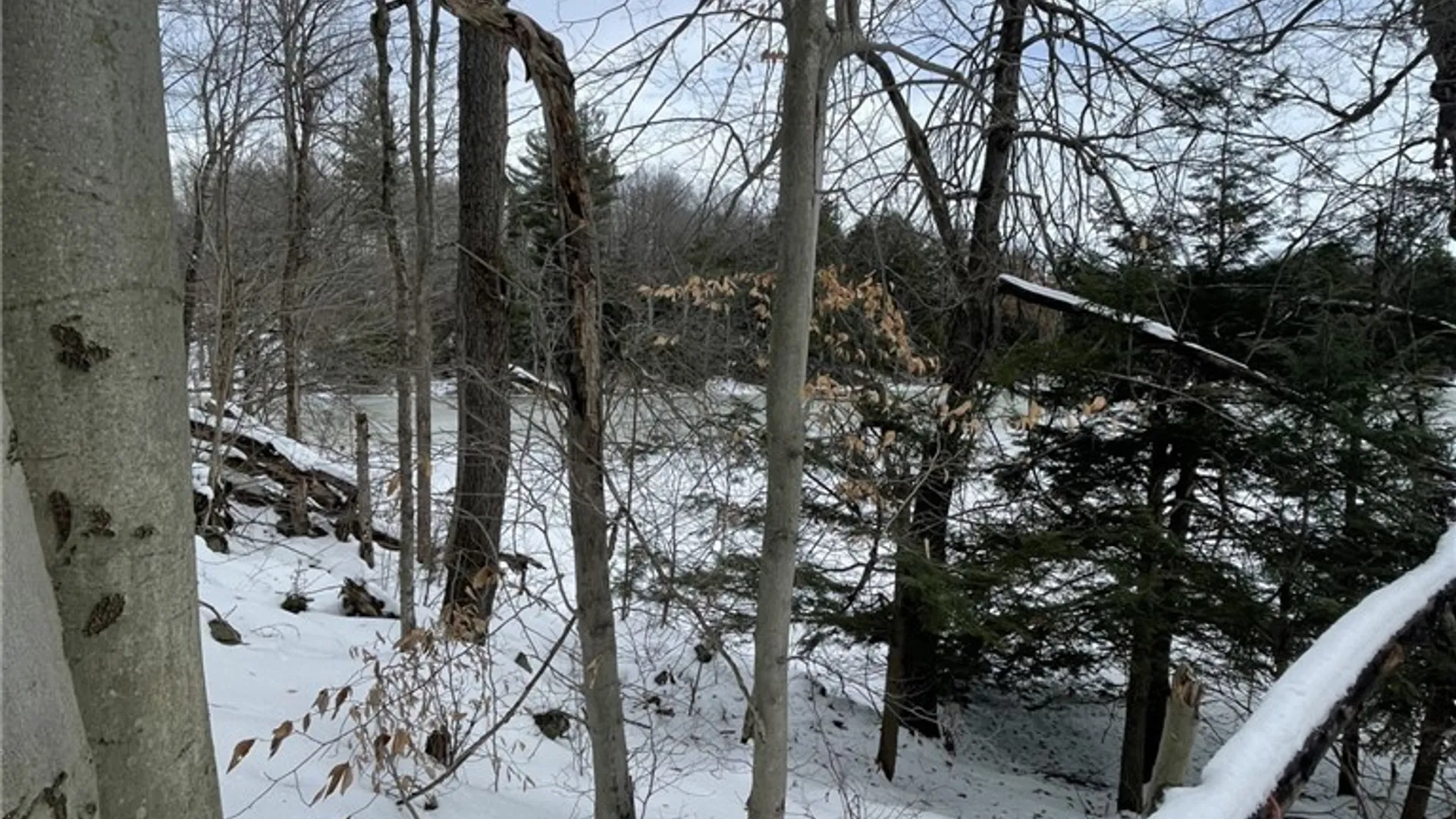 Property at 36562 County Route 46, Theresa, NY 13691 9