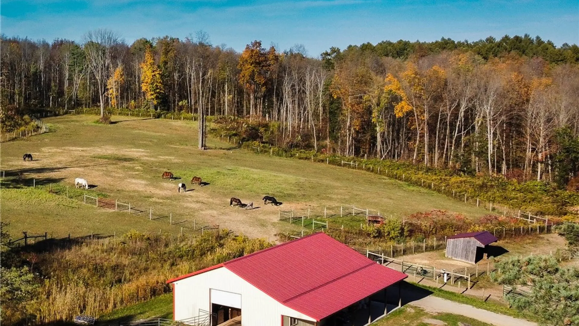 Property at 7632 Centerville Road, Hume, NY 14744 45