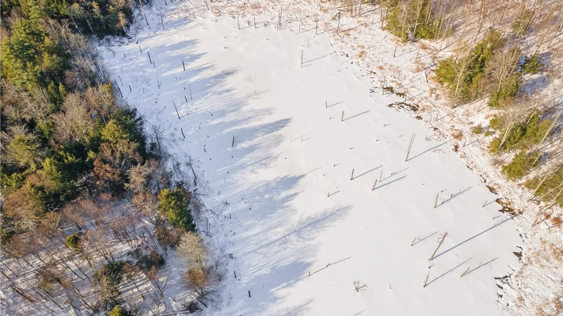 Property at Hollenbeck Road, Worcester, NY 12197 10