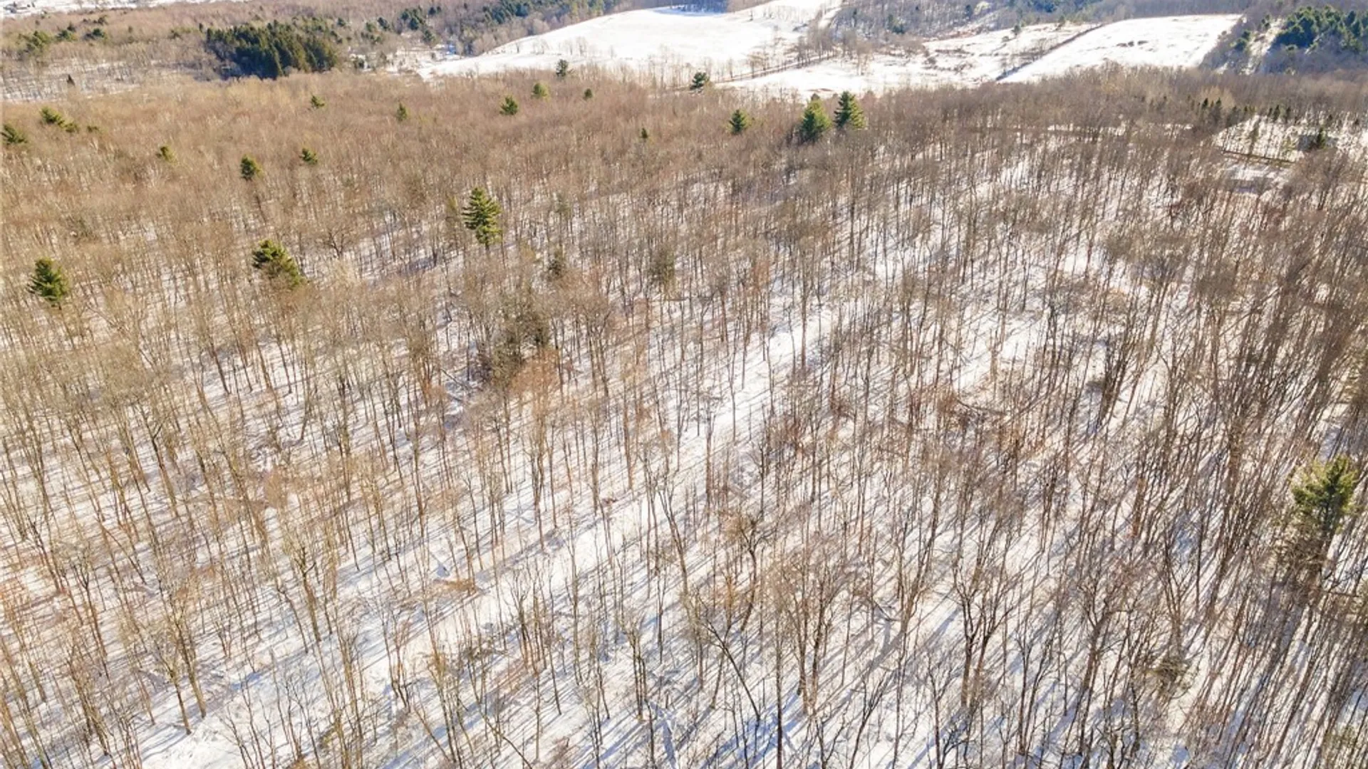 Property at Hollenbeck Road, Worcester, NY 12197 11