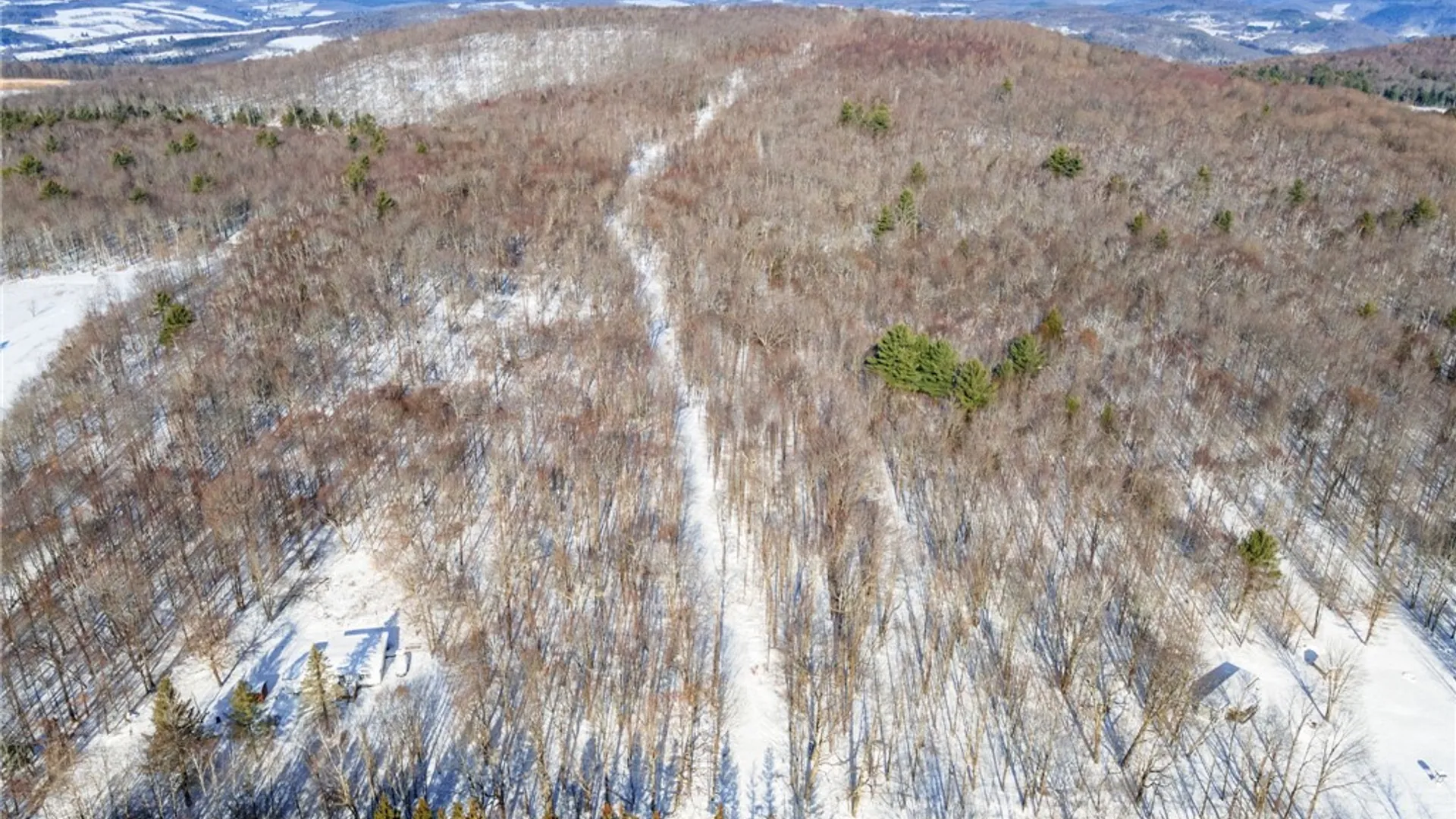 Property at Hollenbeck Road, Worcester, NY 12197 12