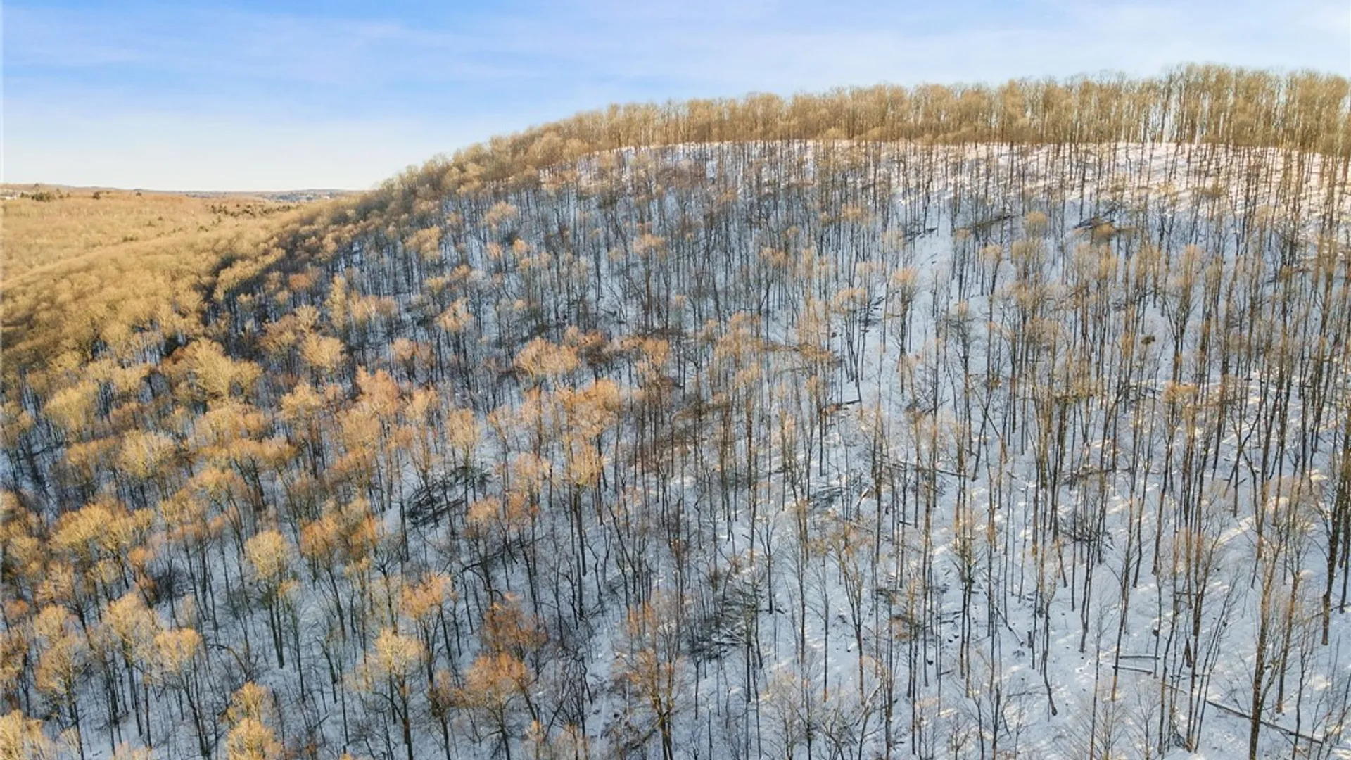 Property at Hollenbeck Road, Worcester, NY 12197 14