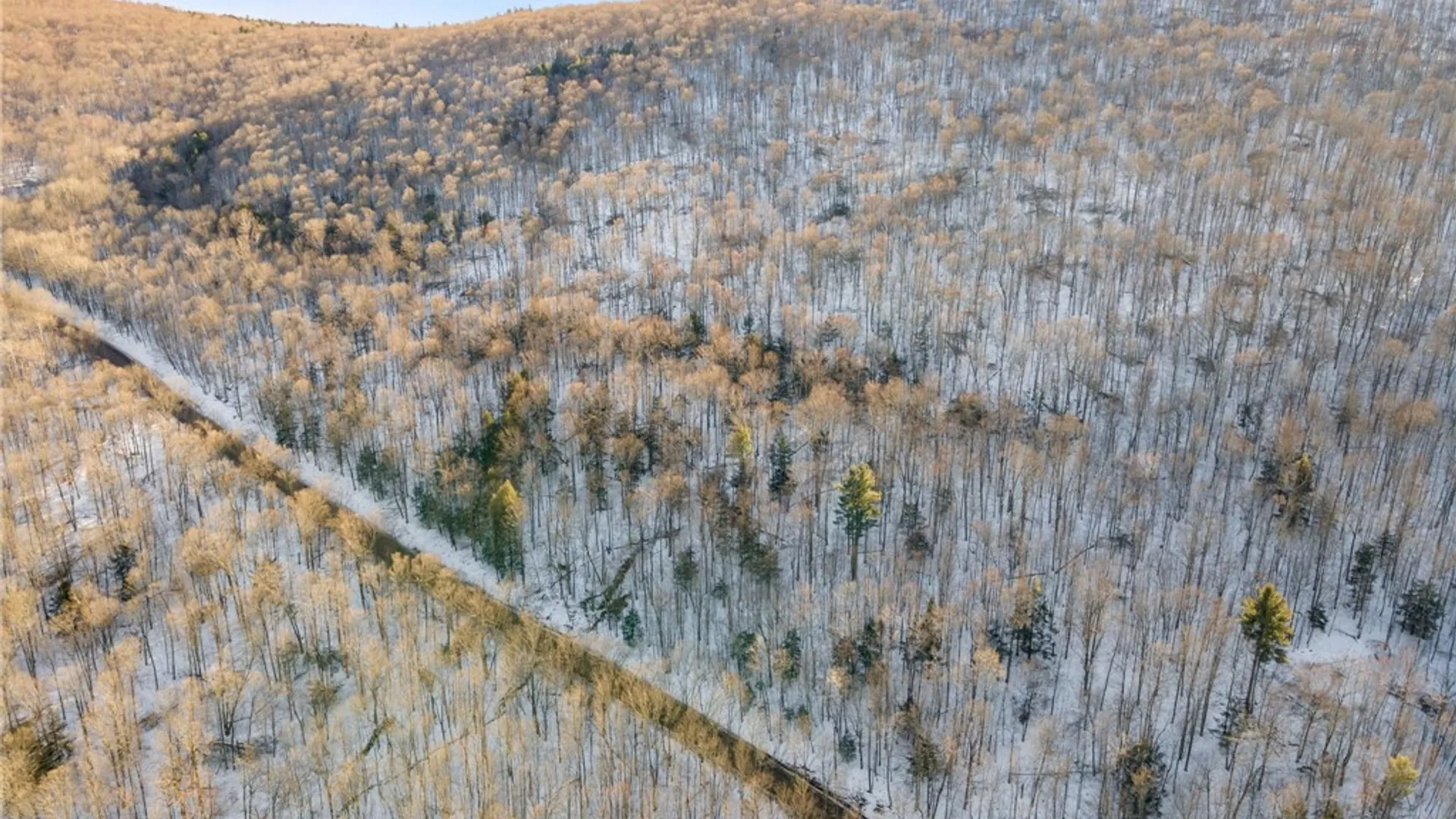 Property at Hollenbeck Road, Worcester, NY 12197 16