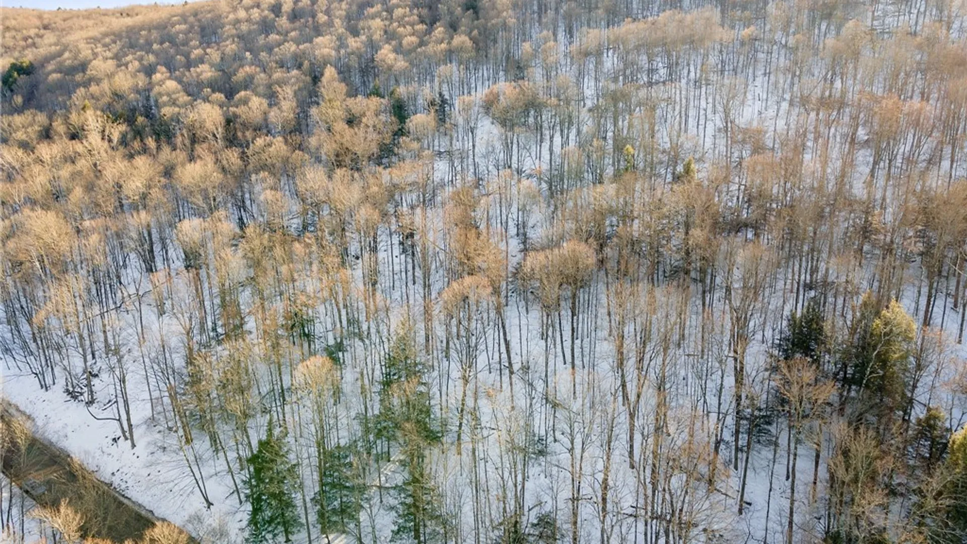 Property at Hollenbeck Road, Worcester, NY 12197 17