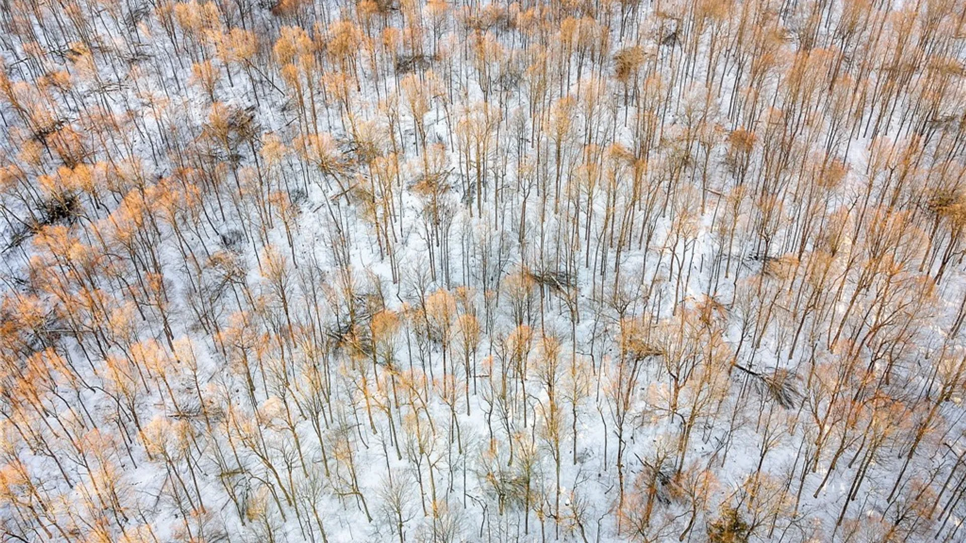 Property at Hollenbeck Road, Worcester, NY 12197 18