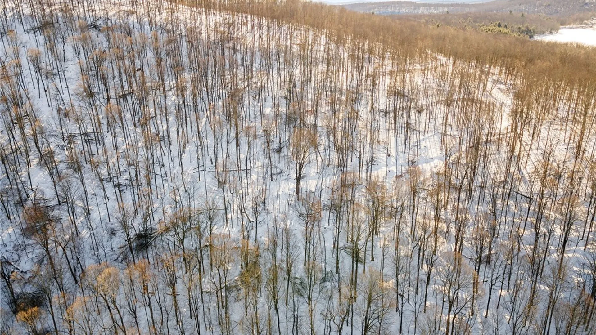 Property at Hollenbeck Road, Worcester, NY 12197 19