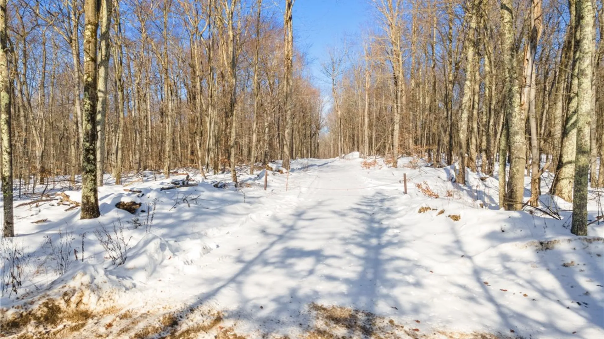 Property at Hollenbeck Road, Worcester, NY 12197 2