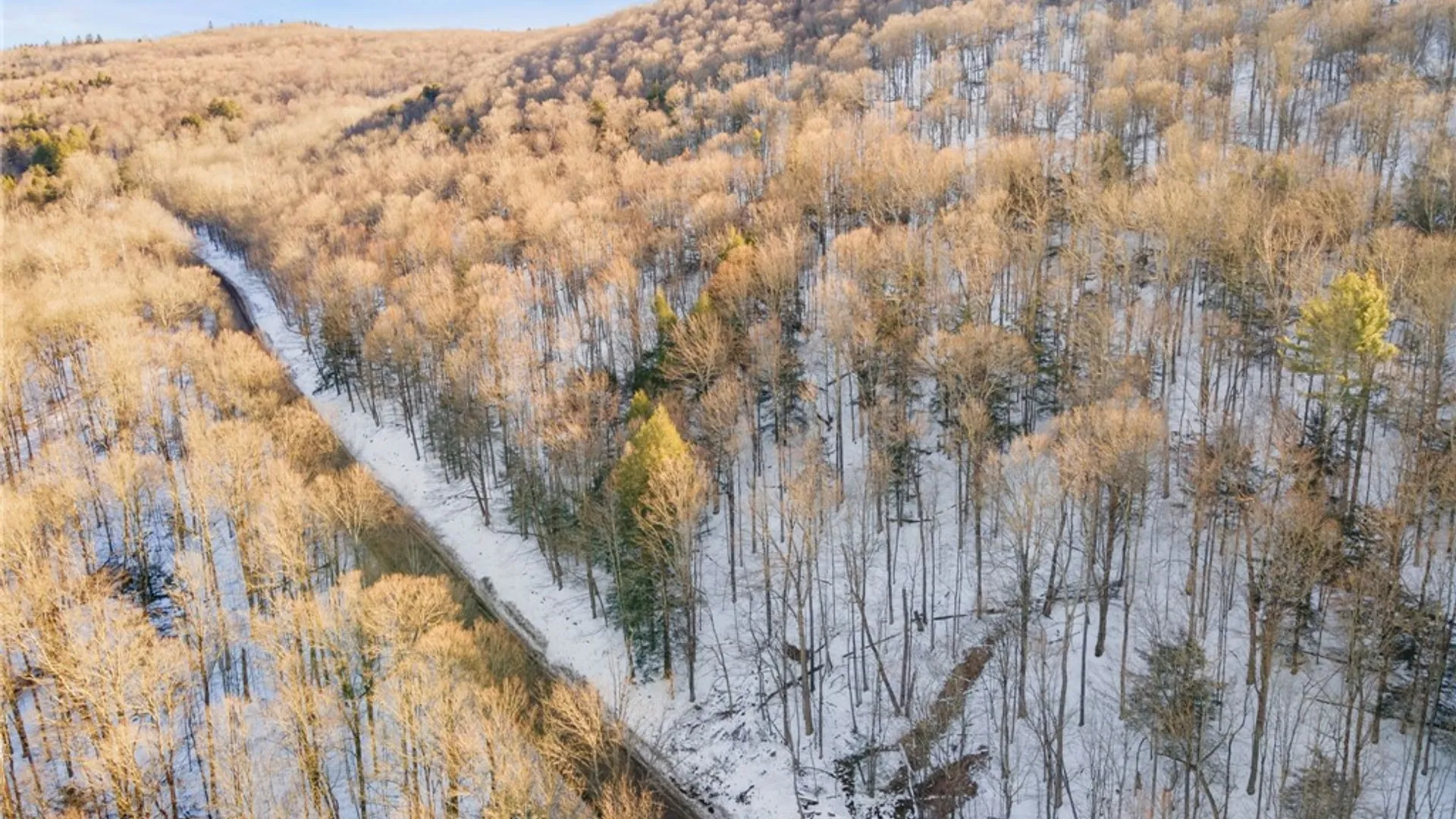 Property at Hollenbeck Road, Worcester, NY 12197 21