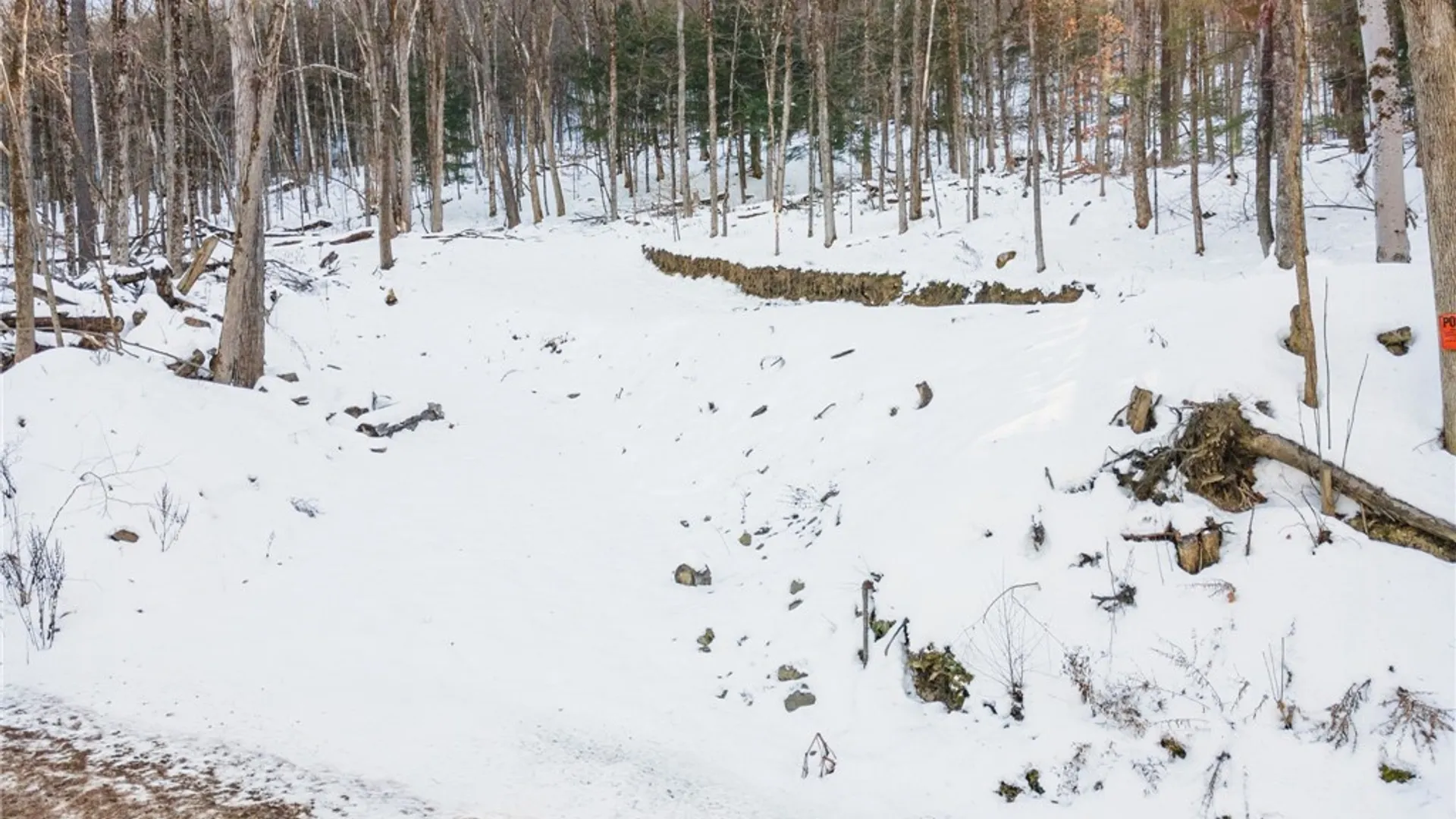 Property at Hollenbeck Road, Worcester, NY 12197 22