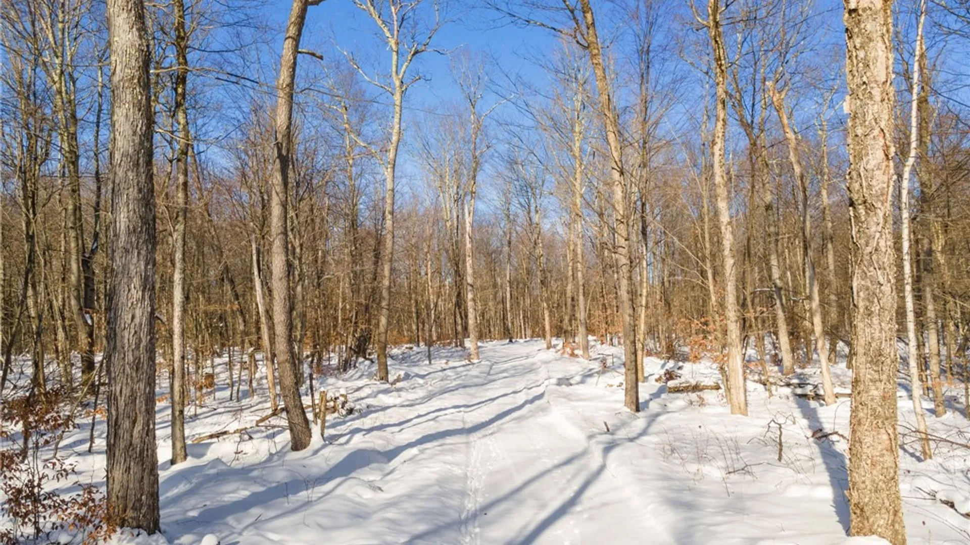 Property at Hollenbeck Road, Worcester, NY 12197 3