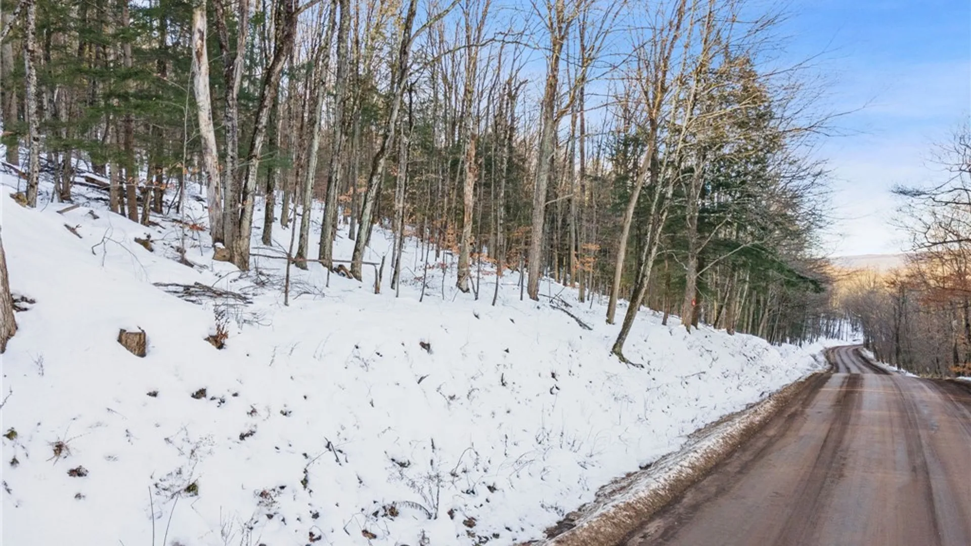 Property at Hollenbeck Road, Worcester, NY 12197 32