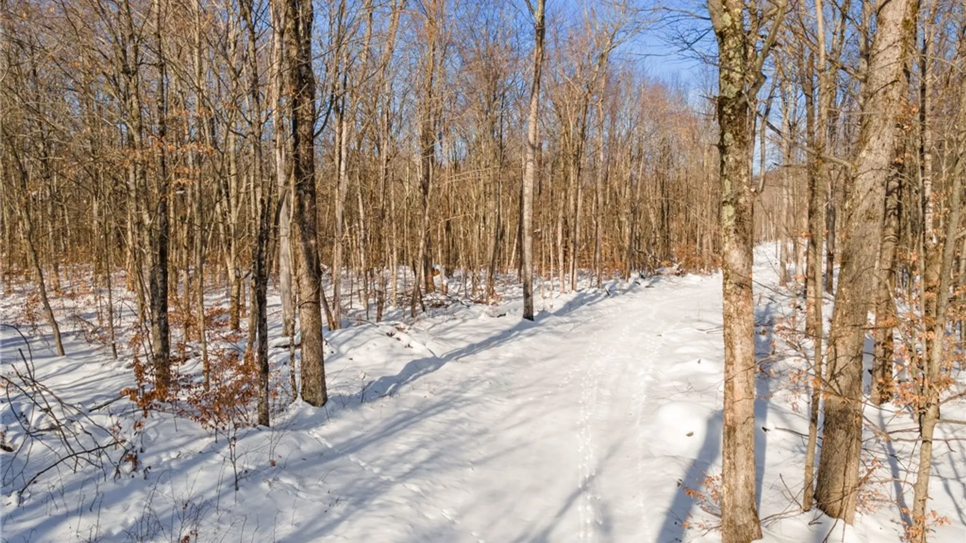 Property at Hollenbeck Road, Worcester, NY 12197 4