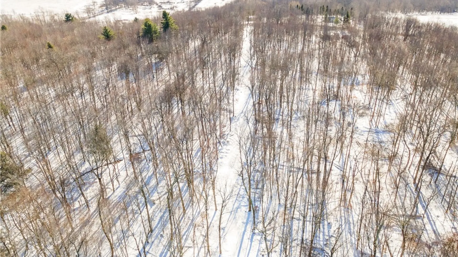 Property at Hollenbeck Road, Worcester, NY 12197 5