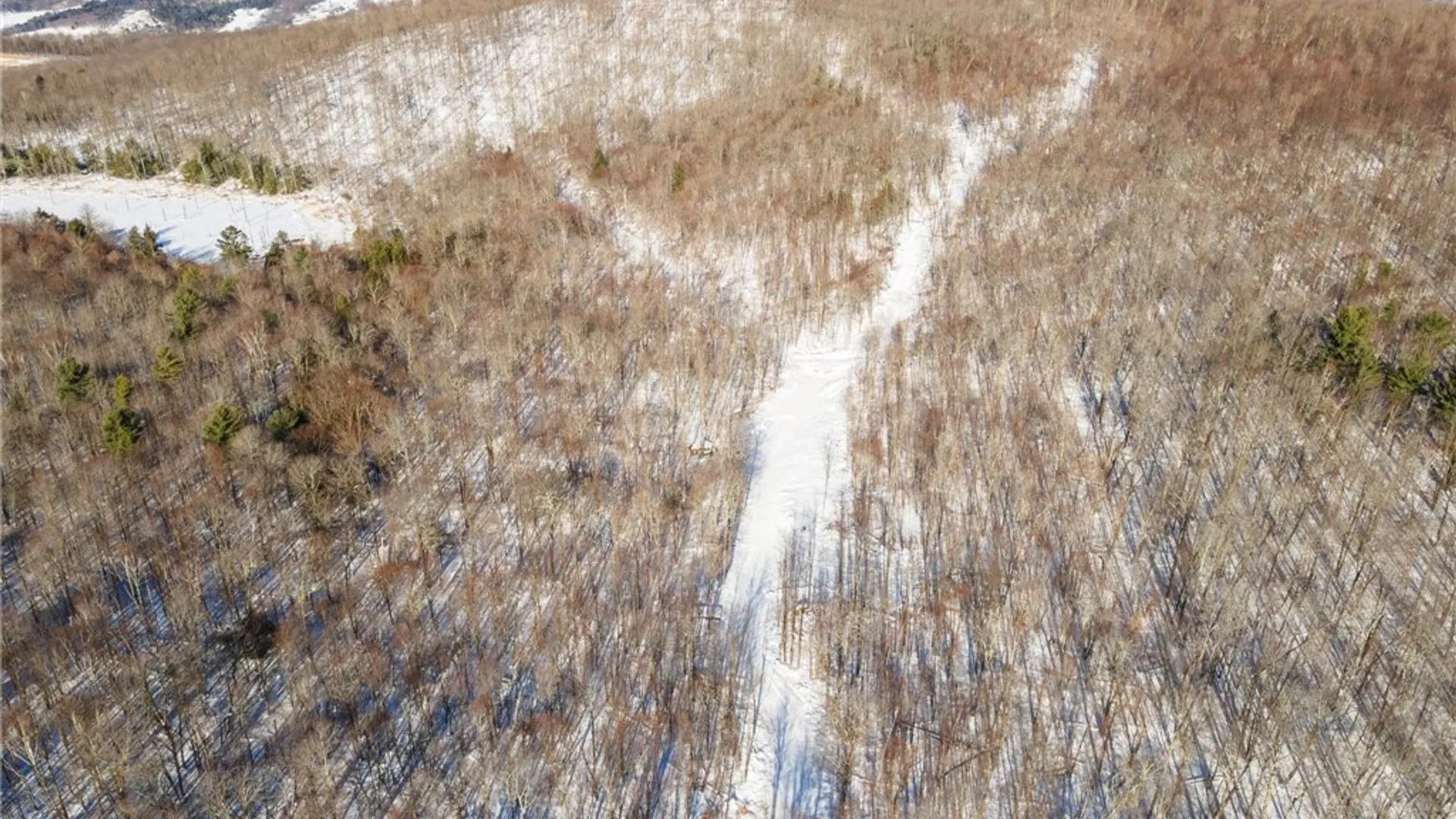 Property at Hollenbeck Road, Worcester, NY 12197 6