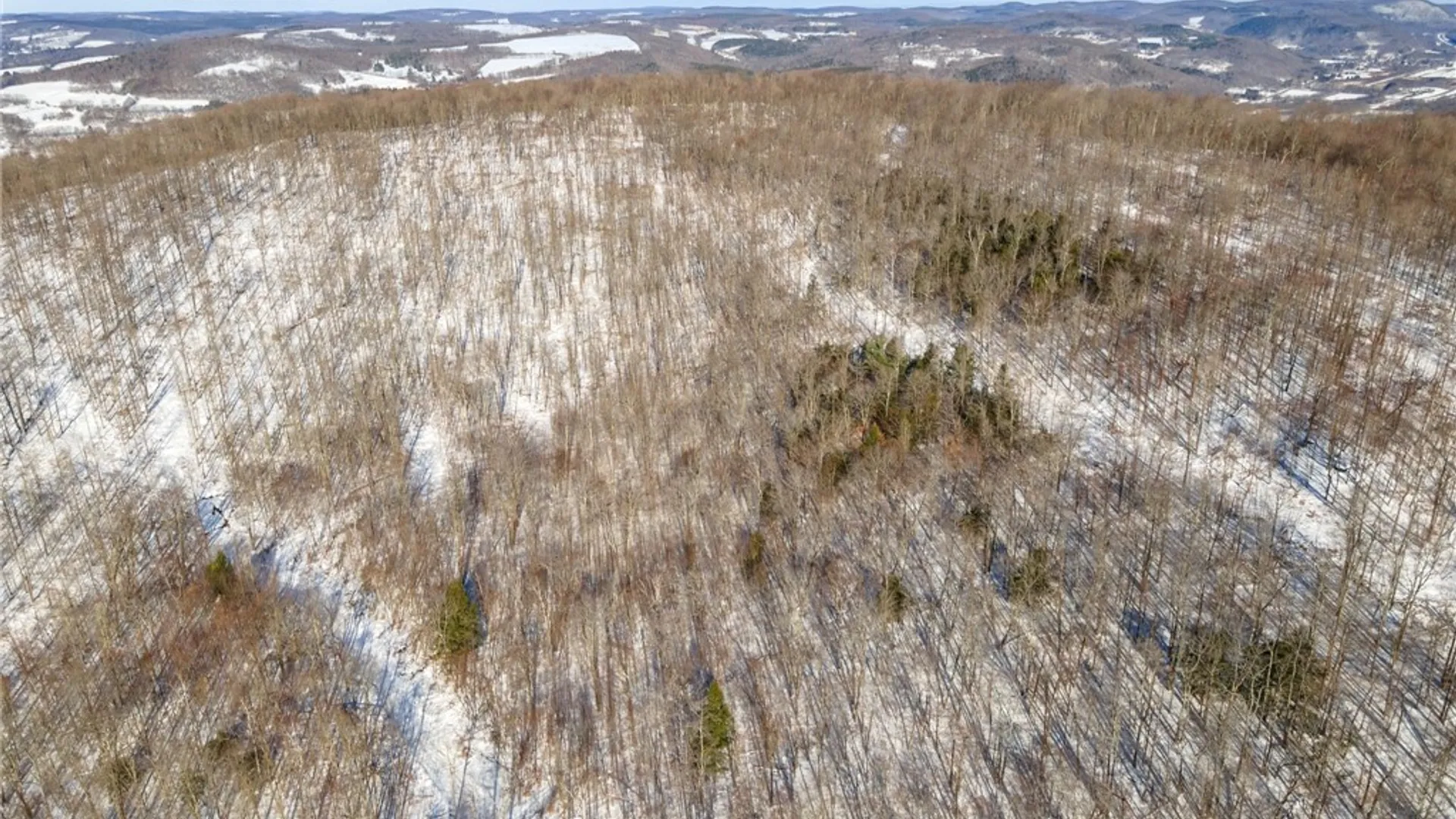 Property at Hollenbeck Road, Worcester, NY 12197 8