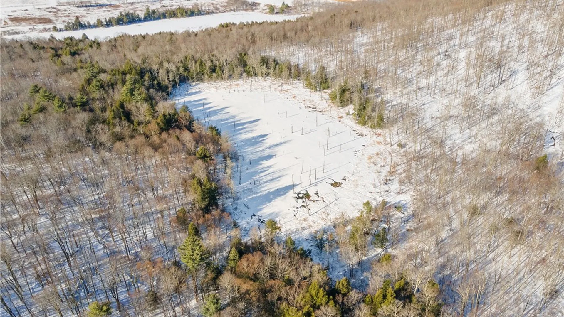 Property at Hollenbeck Road, Worcester, NY 12197 9