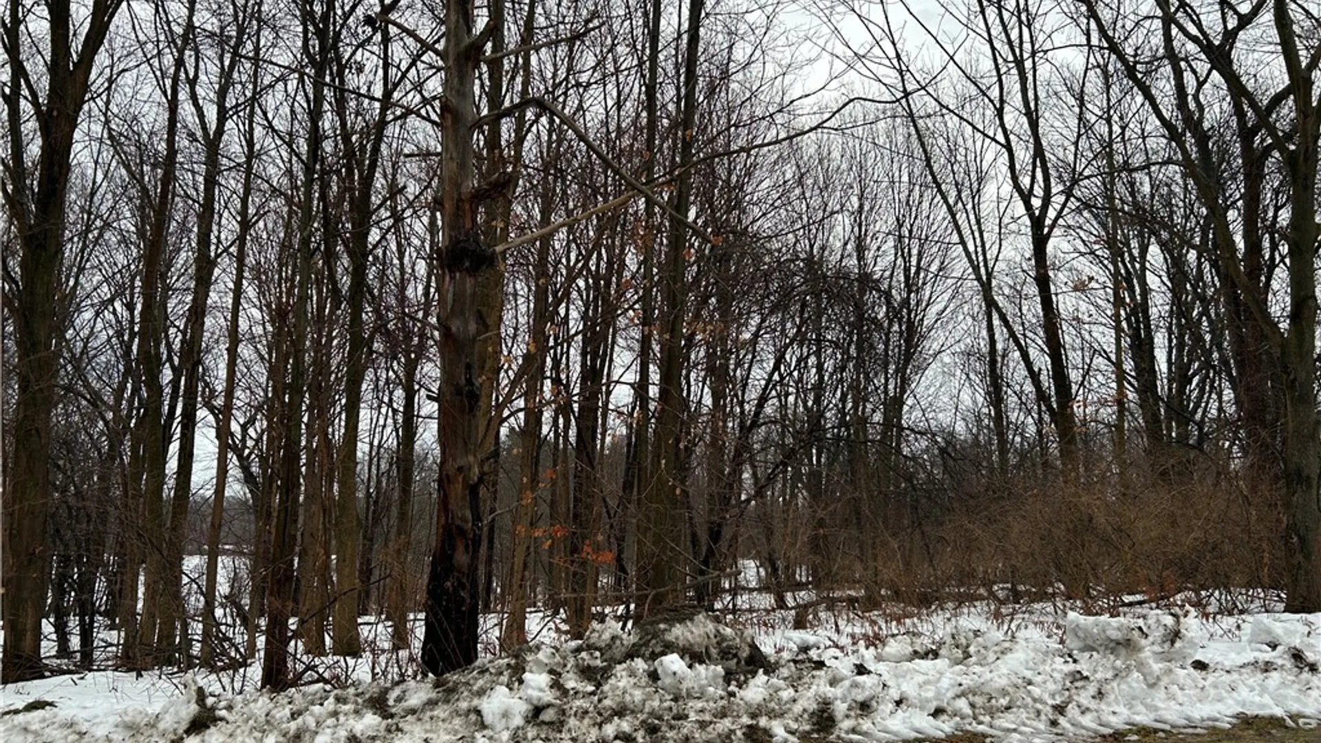 Property at Alleghany Road, Hanover, NY 14062 2